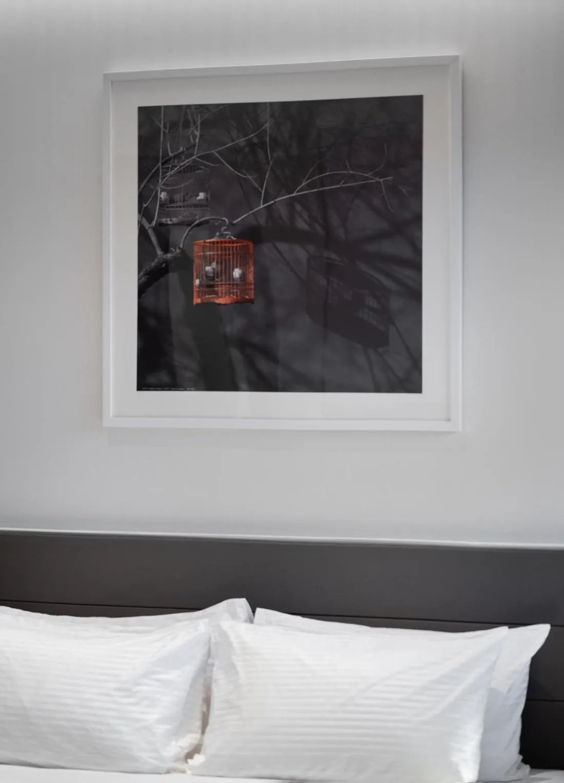 Aerotel Beijing Daxing International Airport