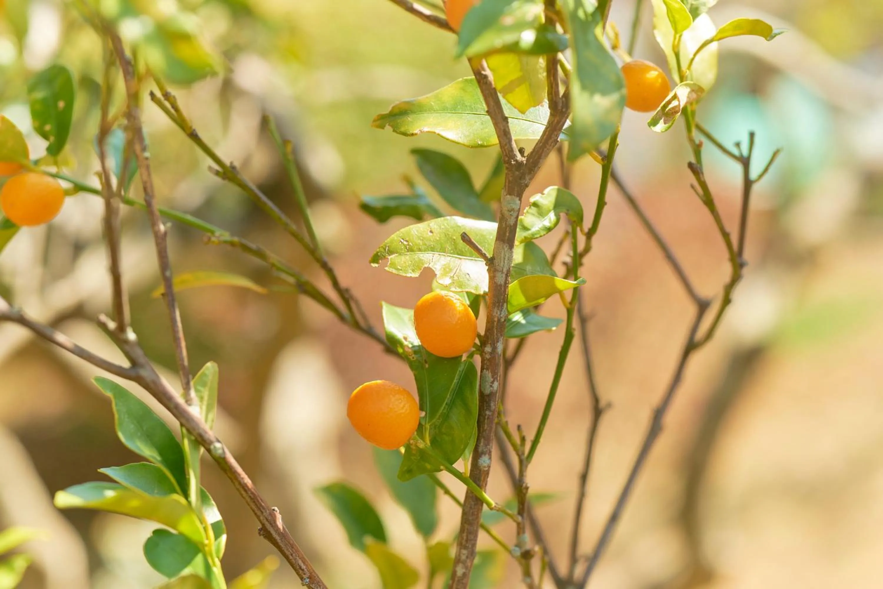 Ryokan -Suikoen- by Tranova