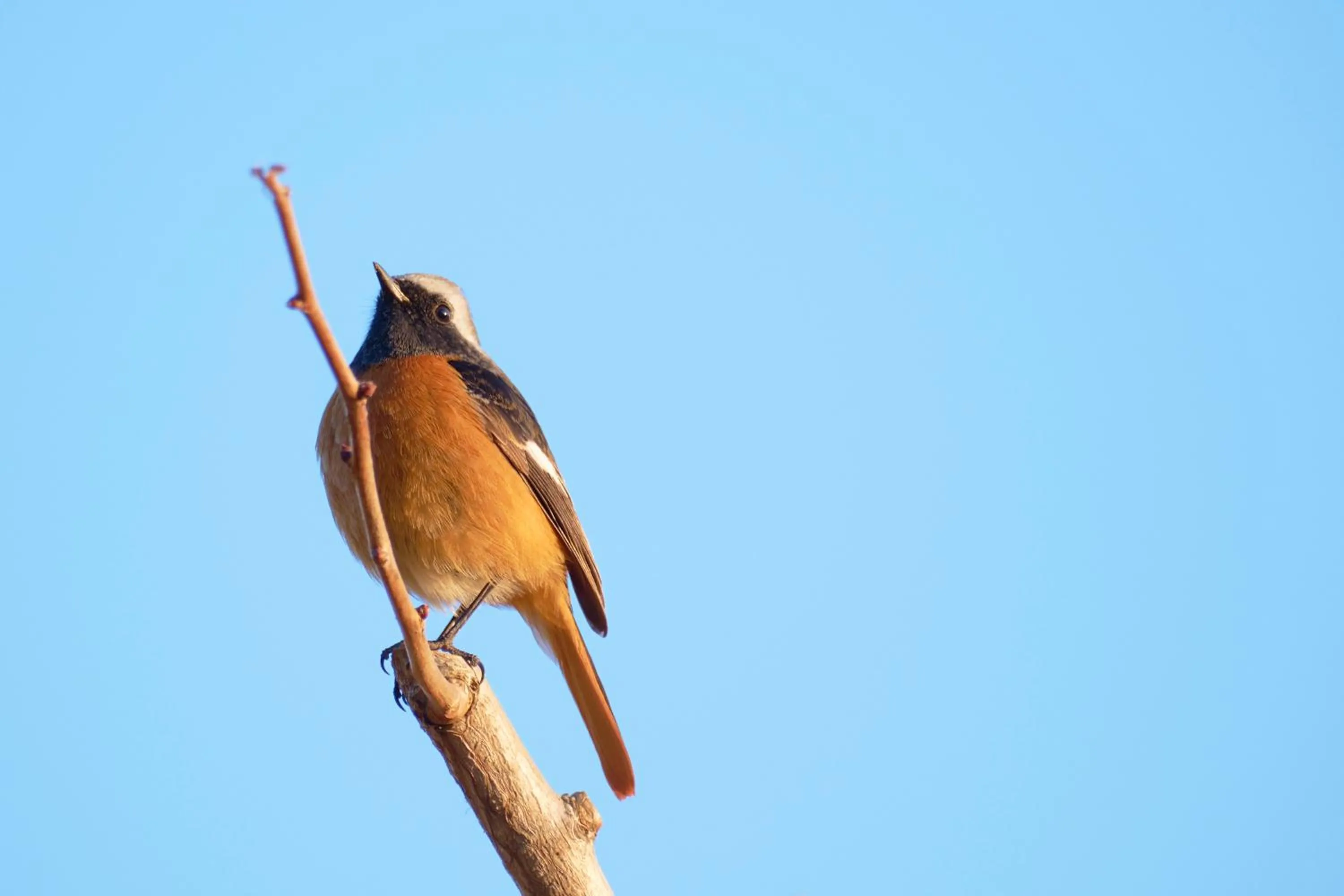 Ryokan -Suikoen- by Tranova