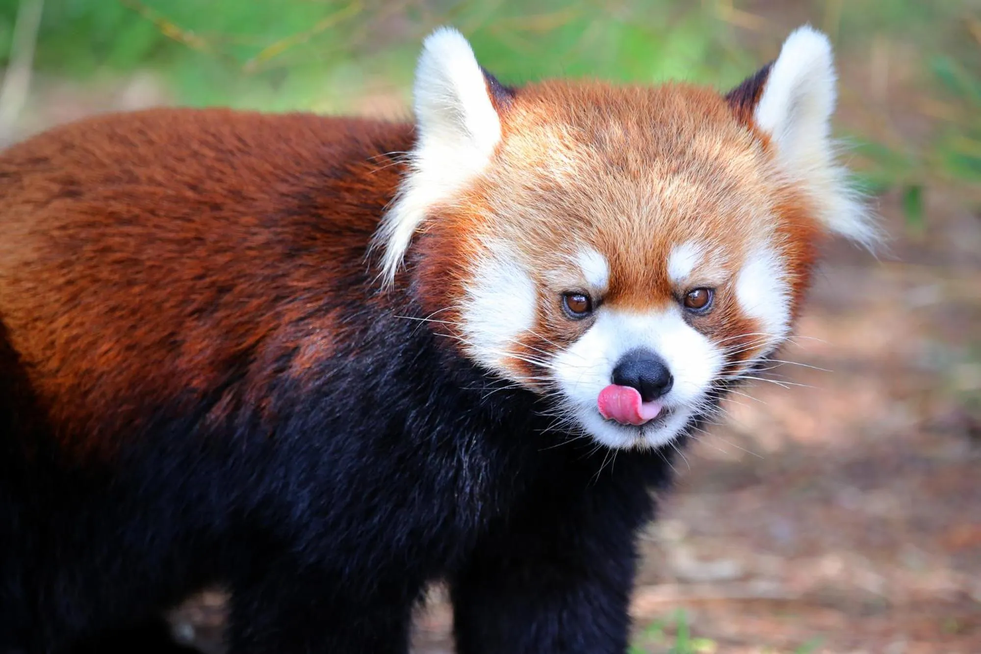 Nearby landmark in Tabist Rays Hotel Yakata