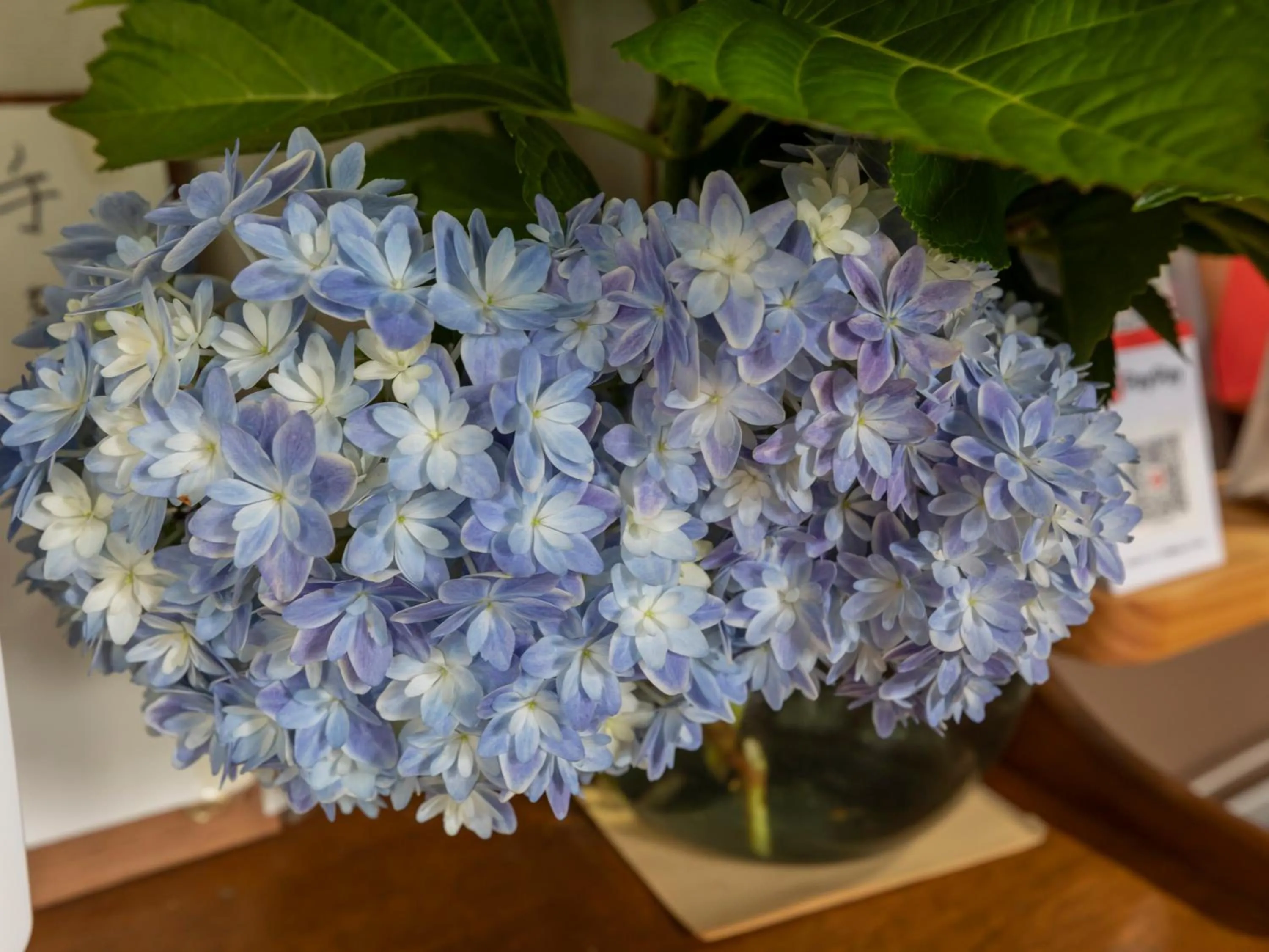 Other in Tabist Hotel Yakumo Matsue