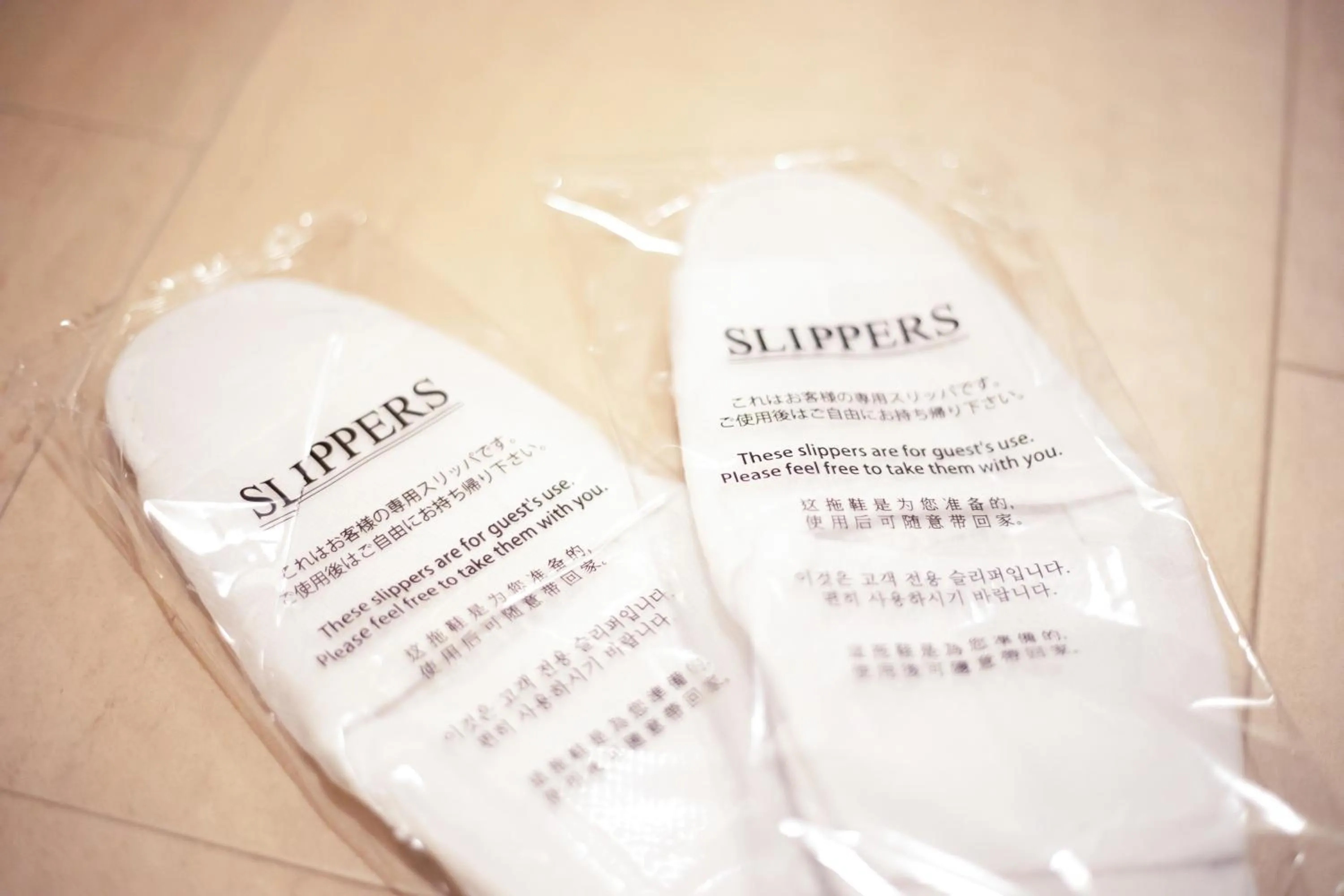 Area and facilities in Bright Hotel Kiyomizu