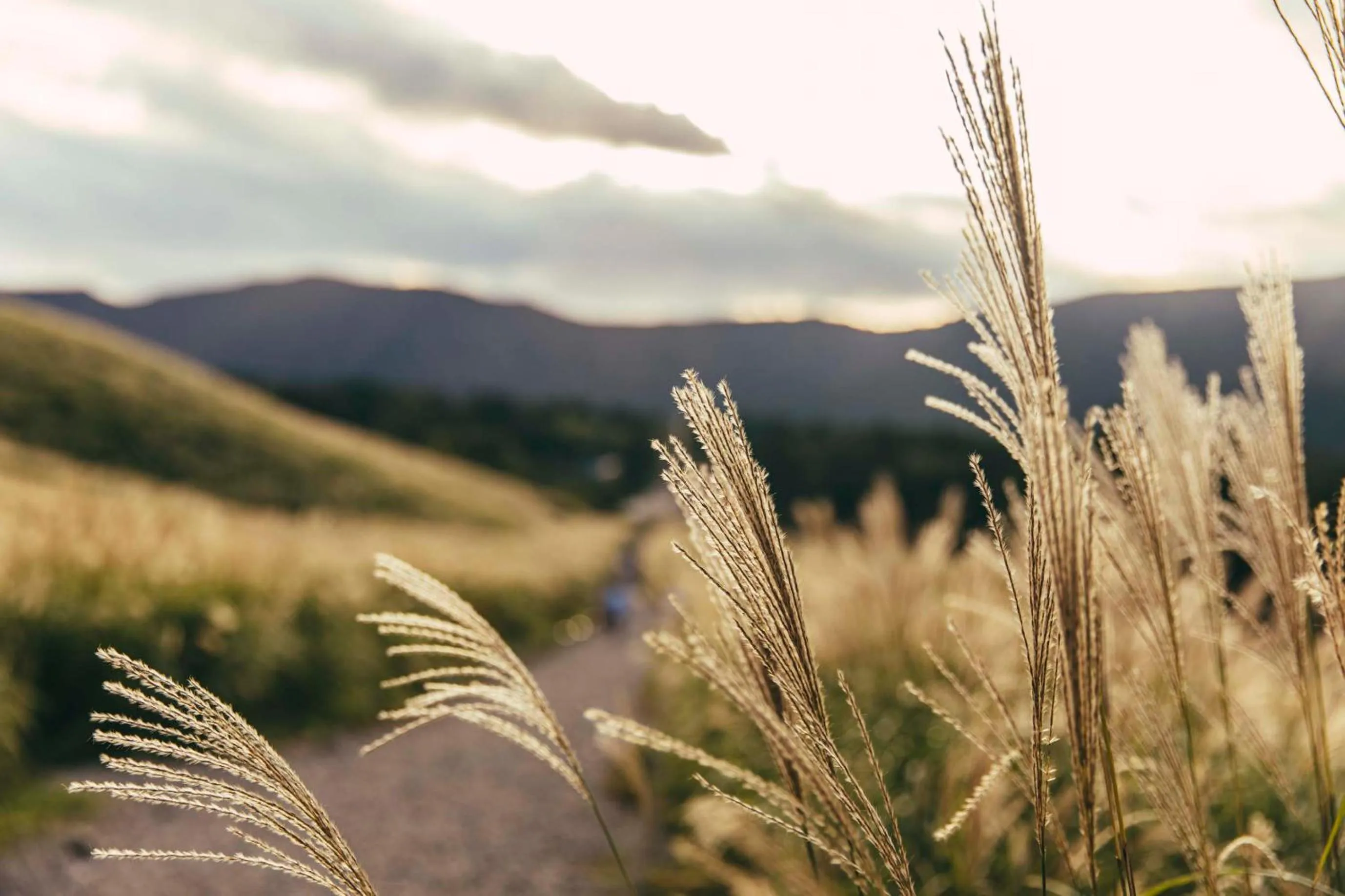 Off site in THE HIRAMATSU HOTELS & RESORTS SENGOKUHARA HAKONE