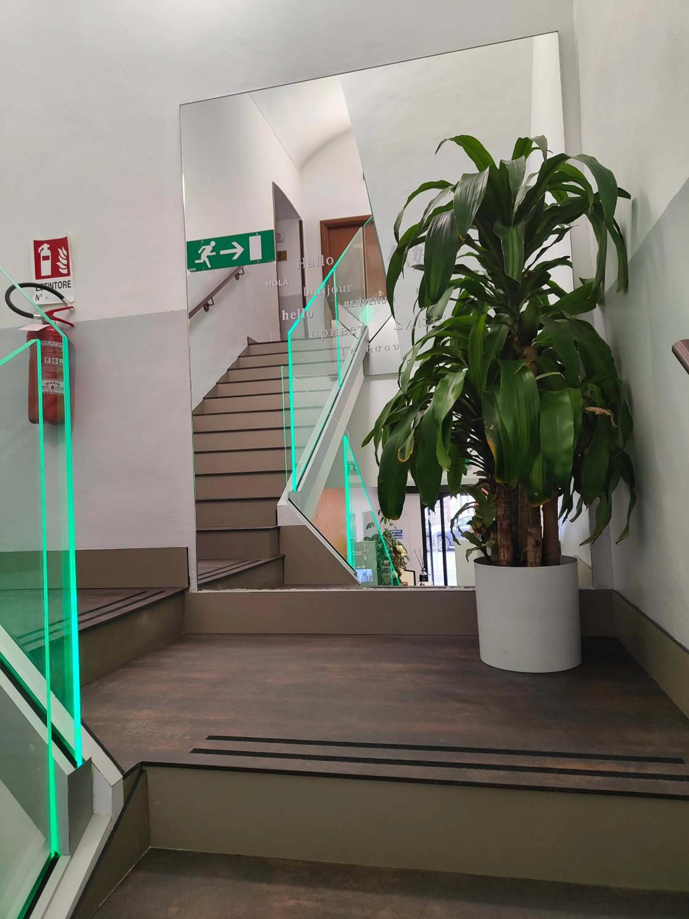 Lobby or reception in Hotel Romano