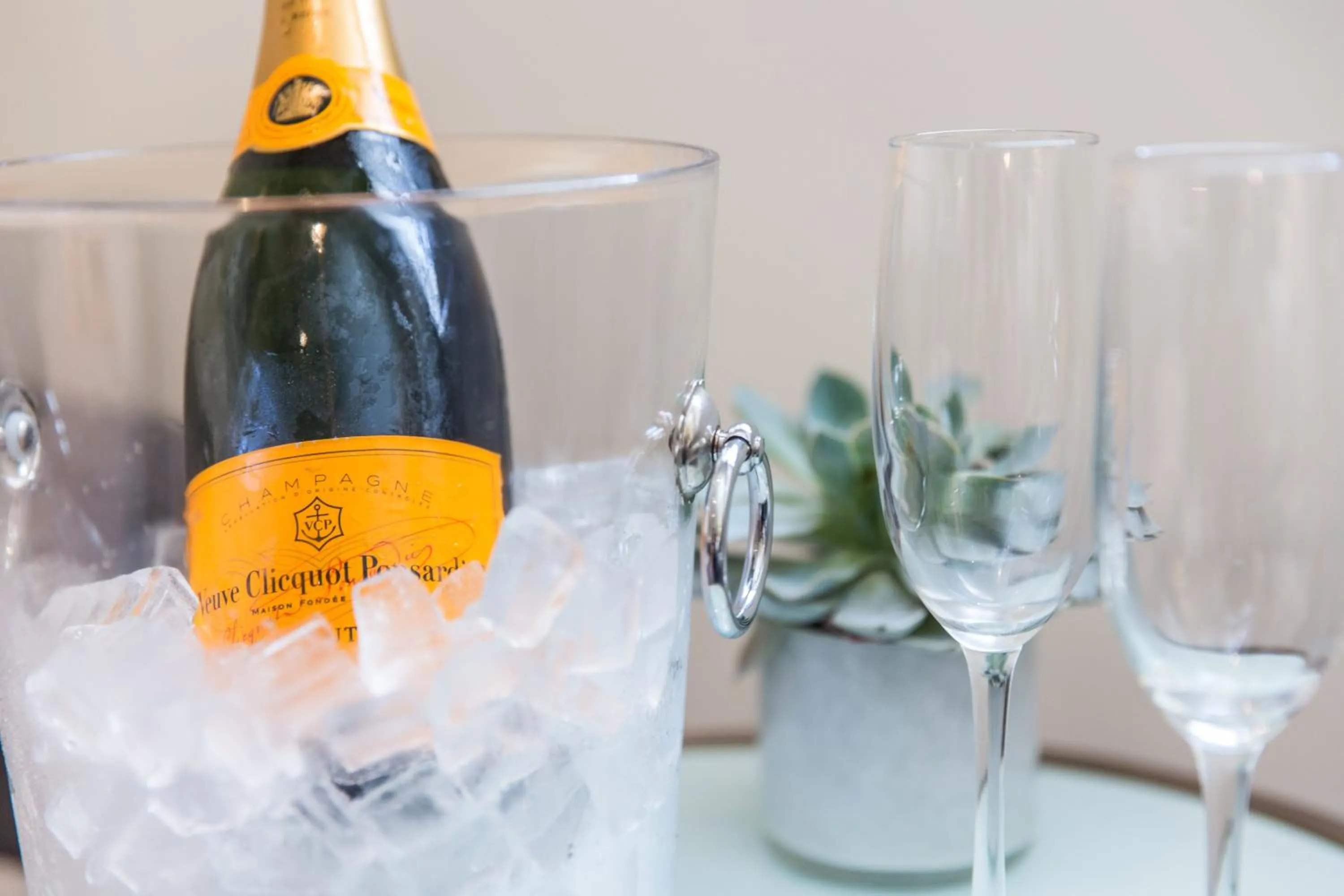 Alcoholic drinks in Mosaic Hotel Beverly Hills