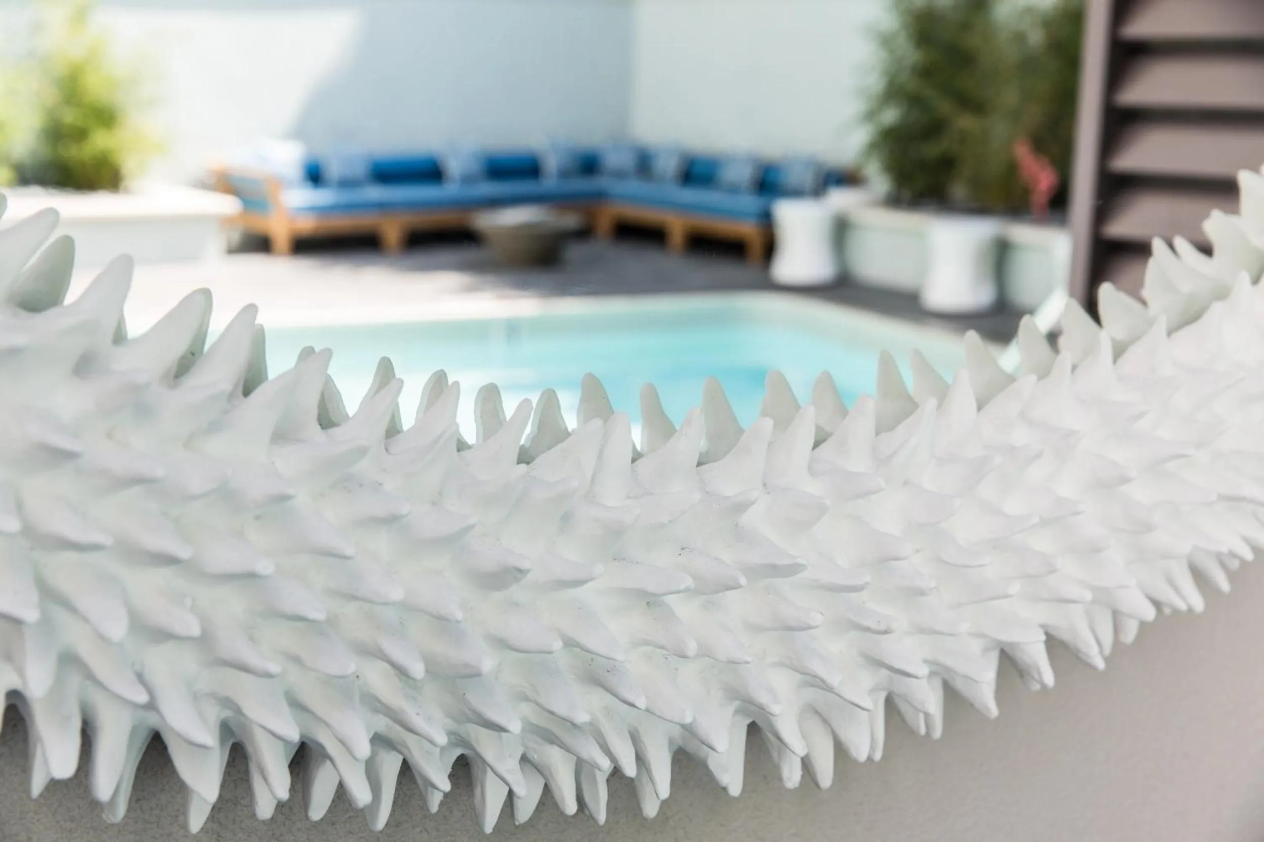 Pool view in Mosaic Hotel Beverly Hills