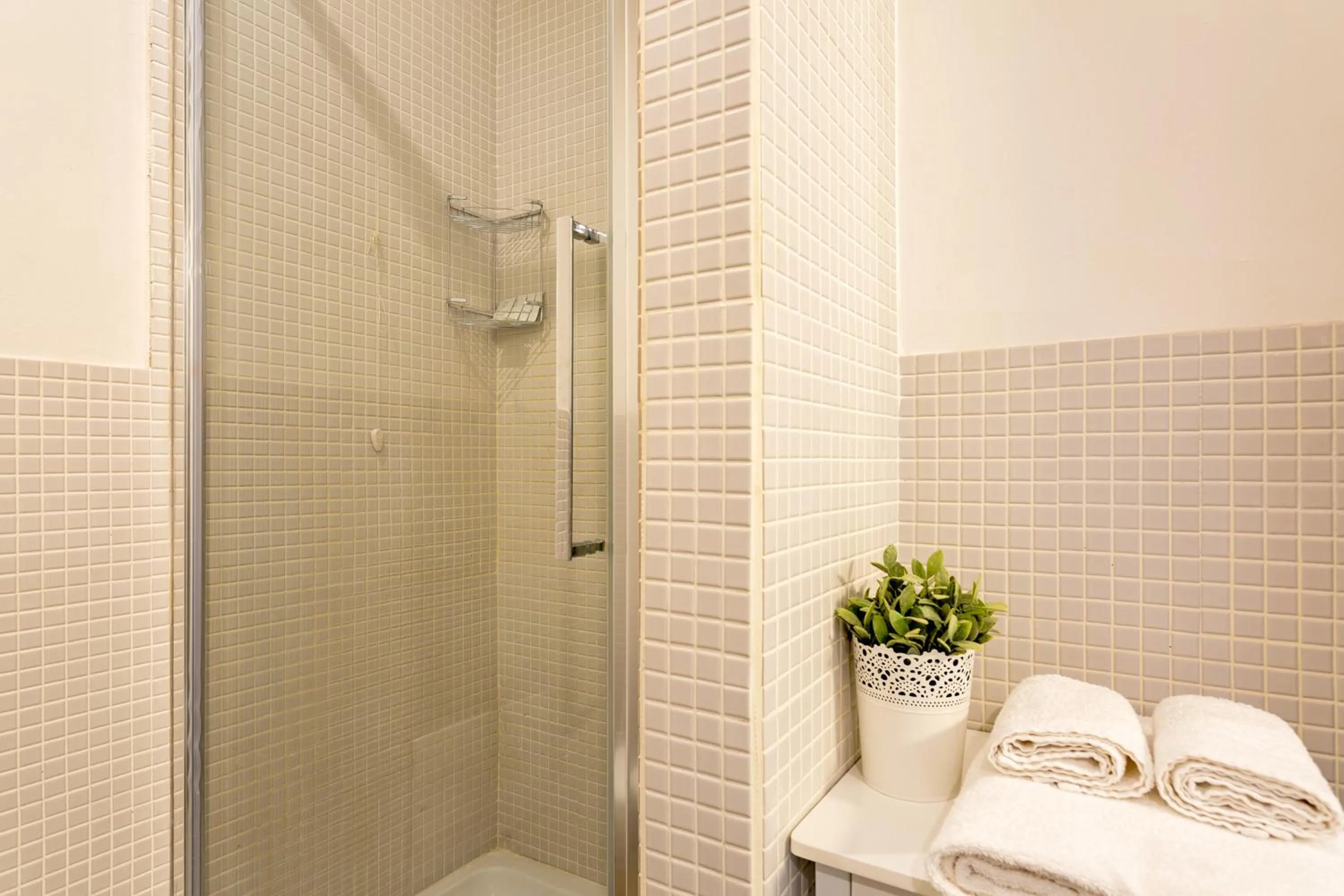 Shower in Marlin Rooms