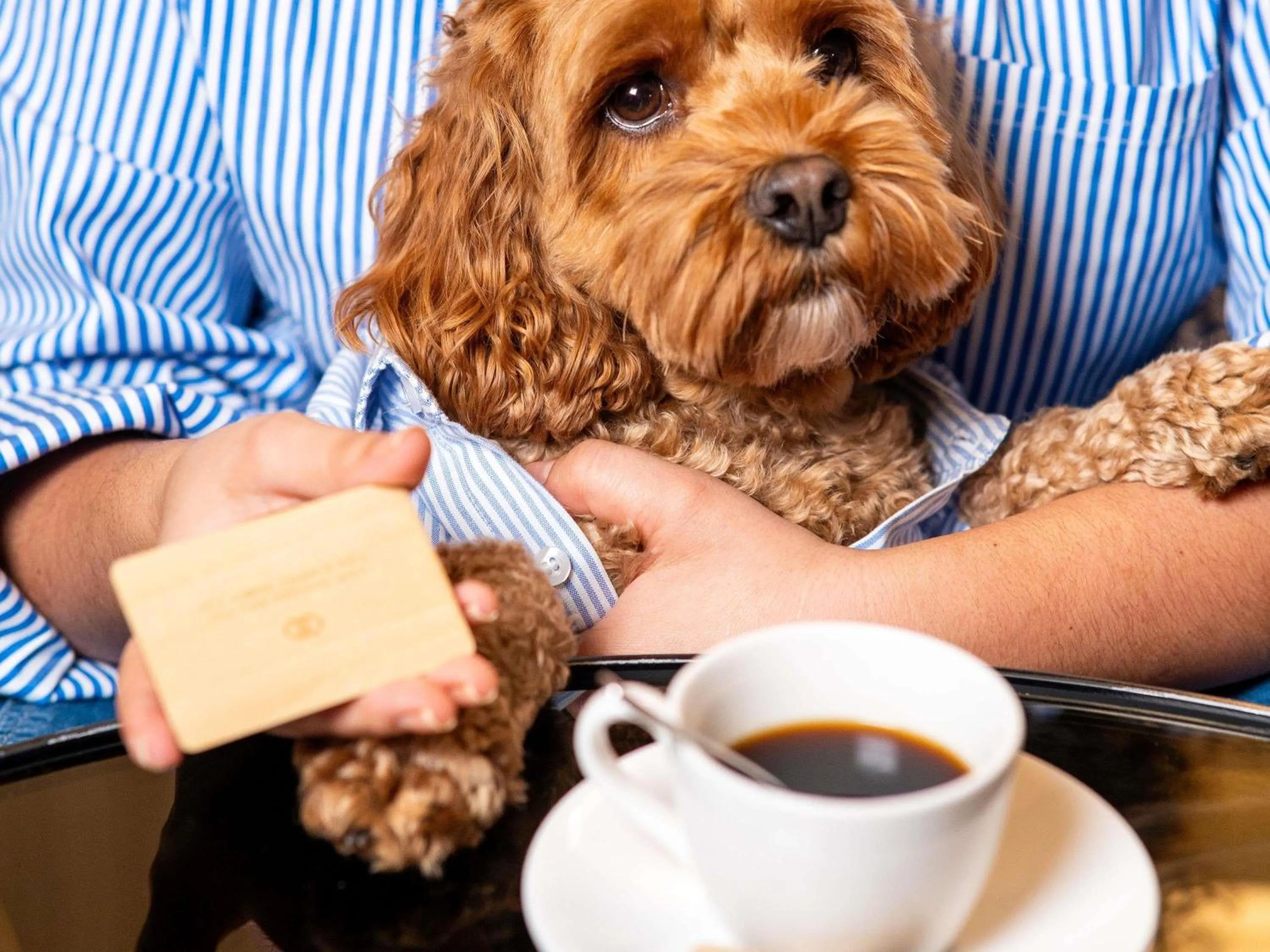 Other in Sofitel Philadelphia at Rittenhouse Square