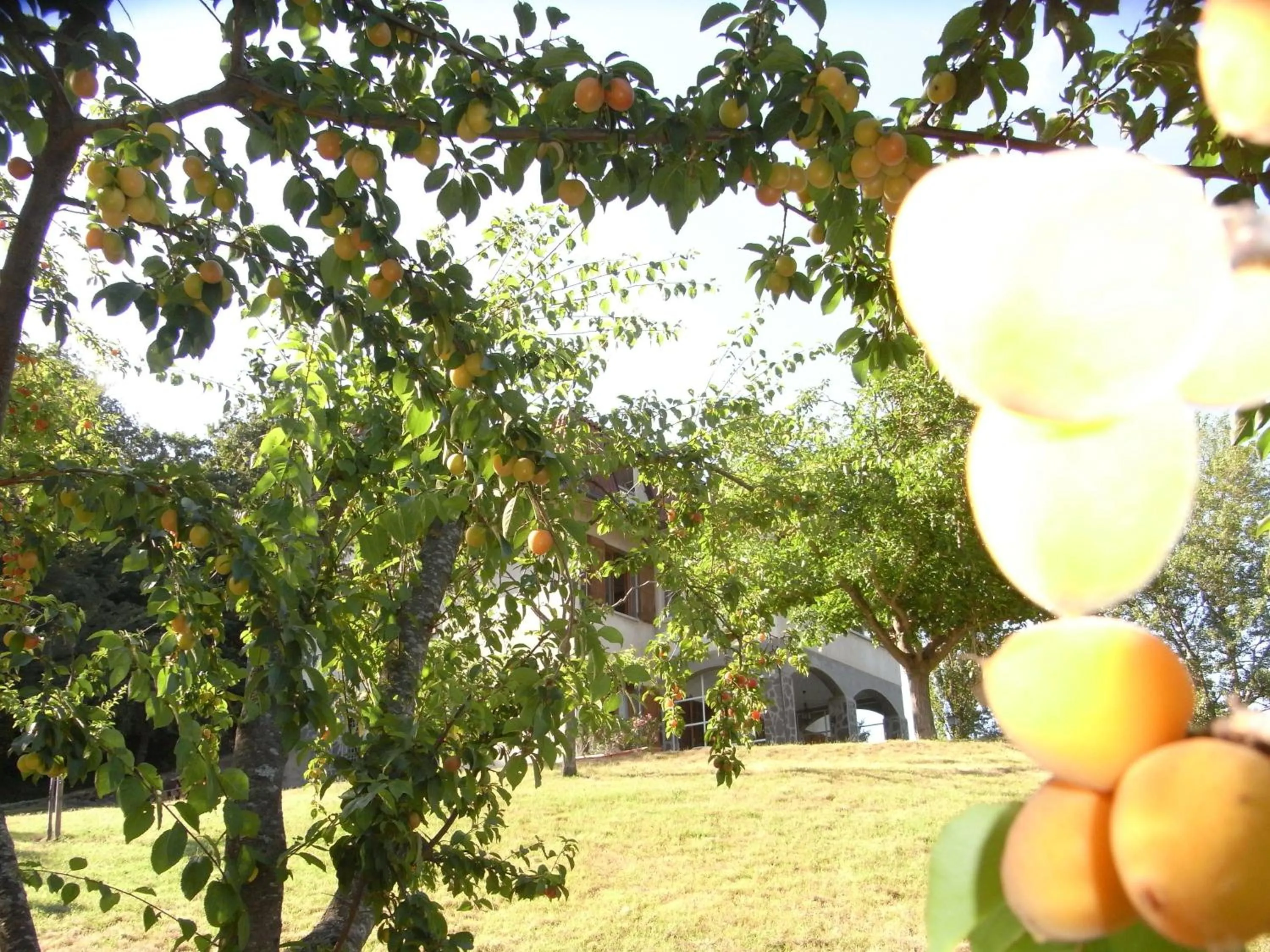 Garden in B&B Bosco Dei Cervi