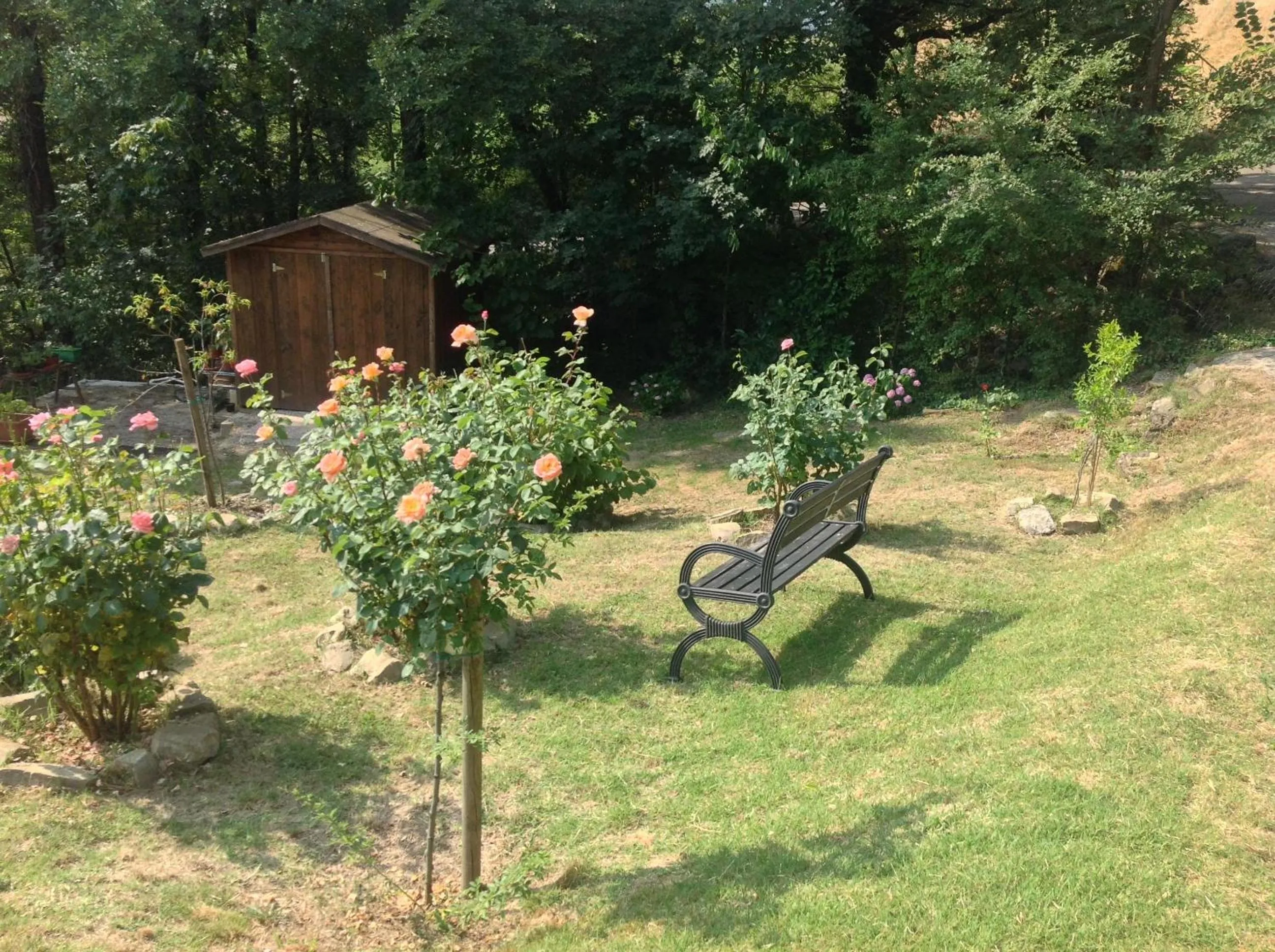 Property building in B&B Bosco Dei Cervi