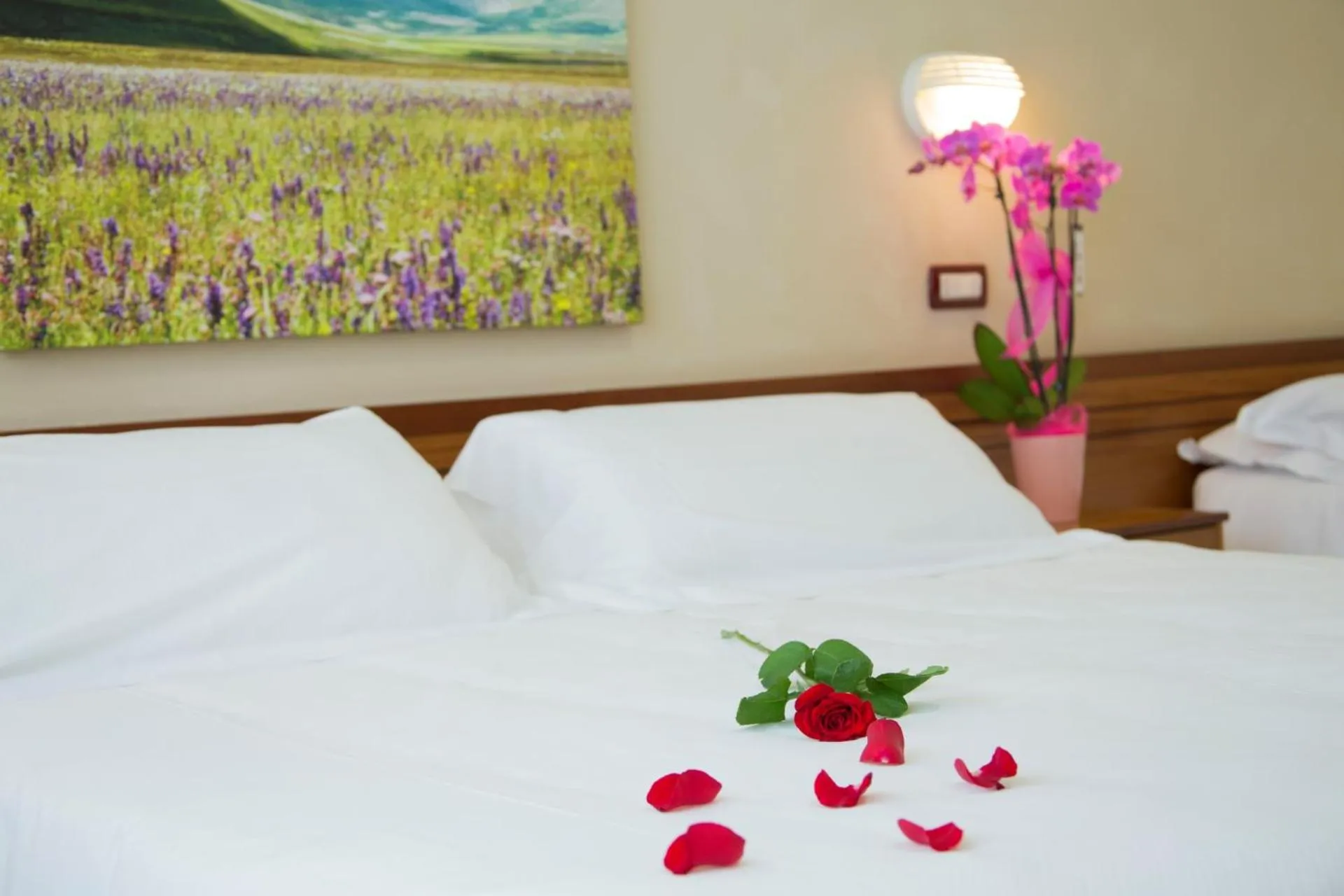 Bed in Hotel Delle Rose