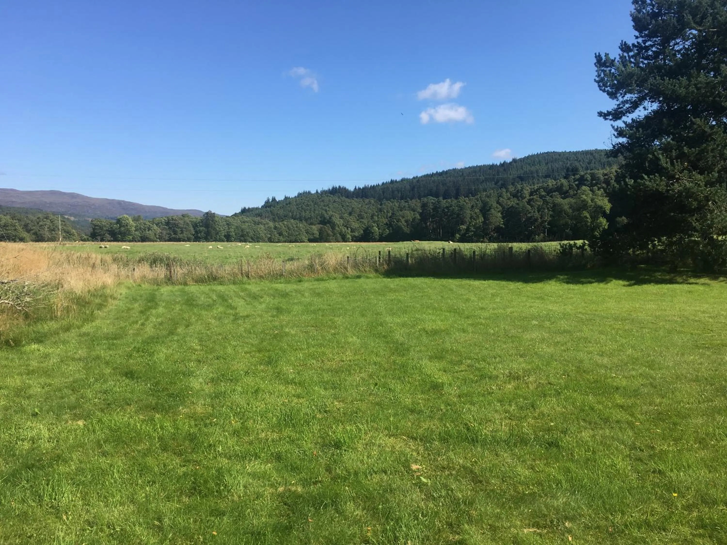 Garden in The Tomich Hotel