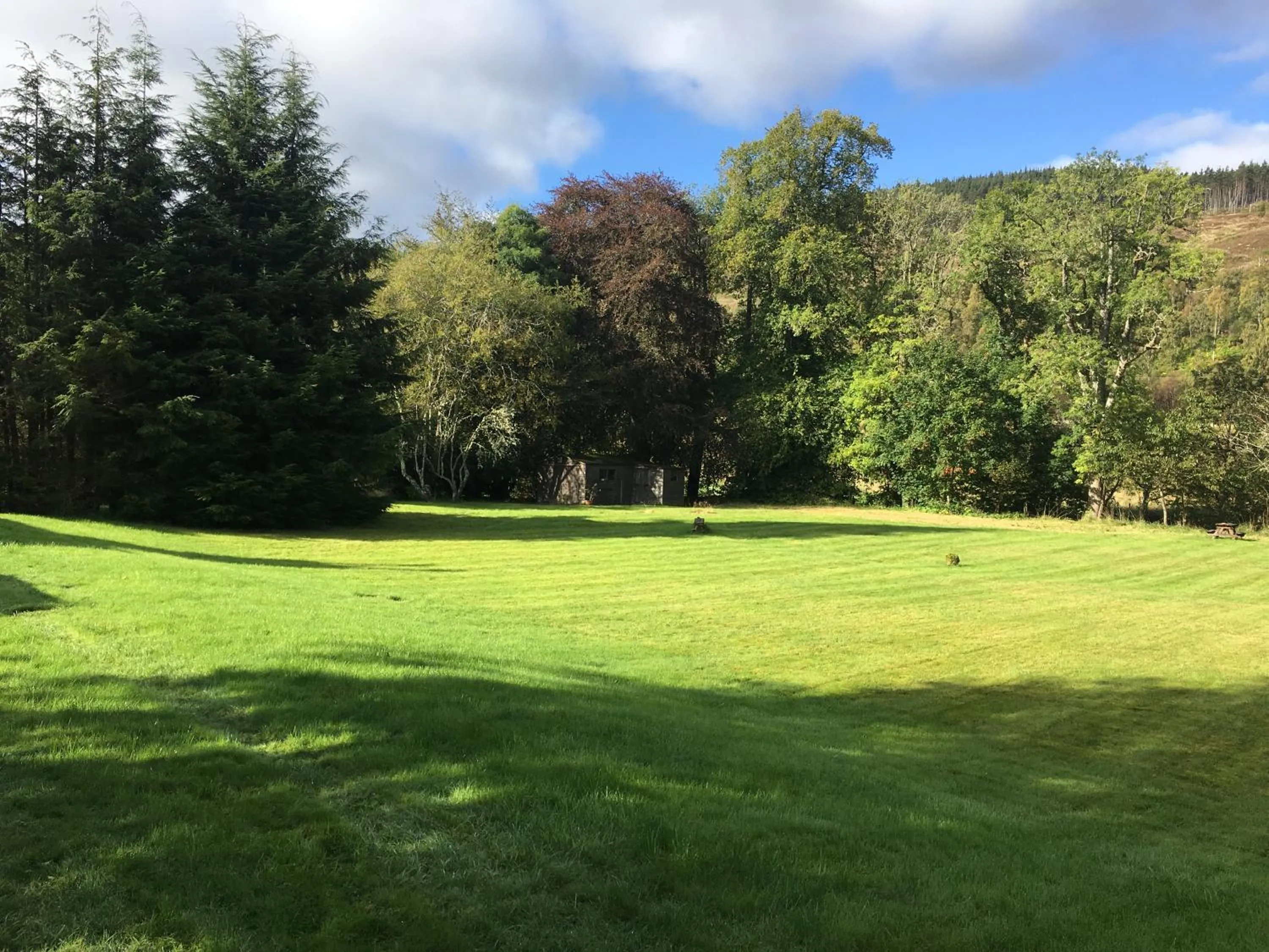 Garden in The Tomich Hotel