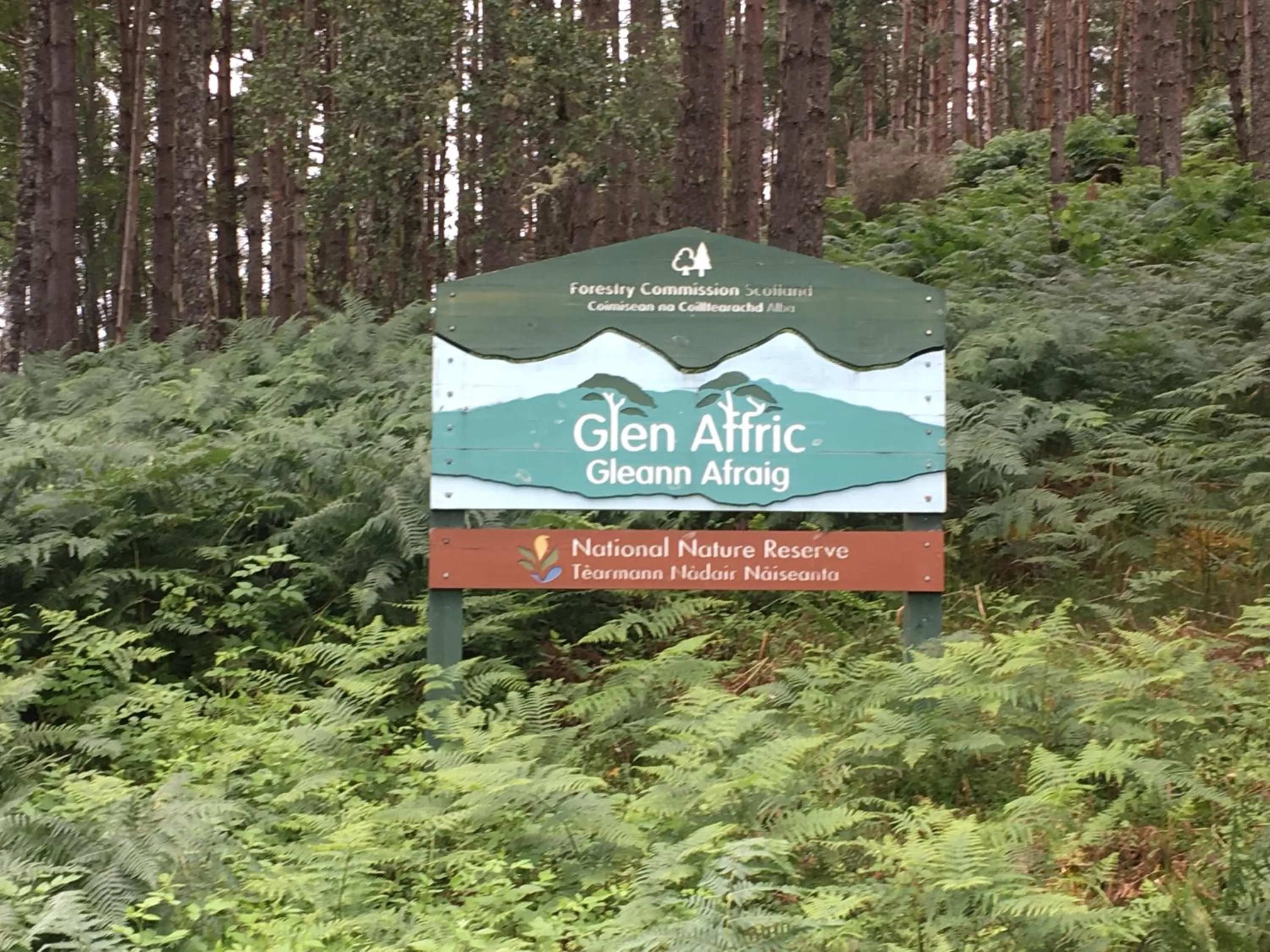 Neighbourhood in The Tomich Hotel