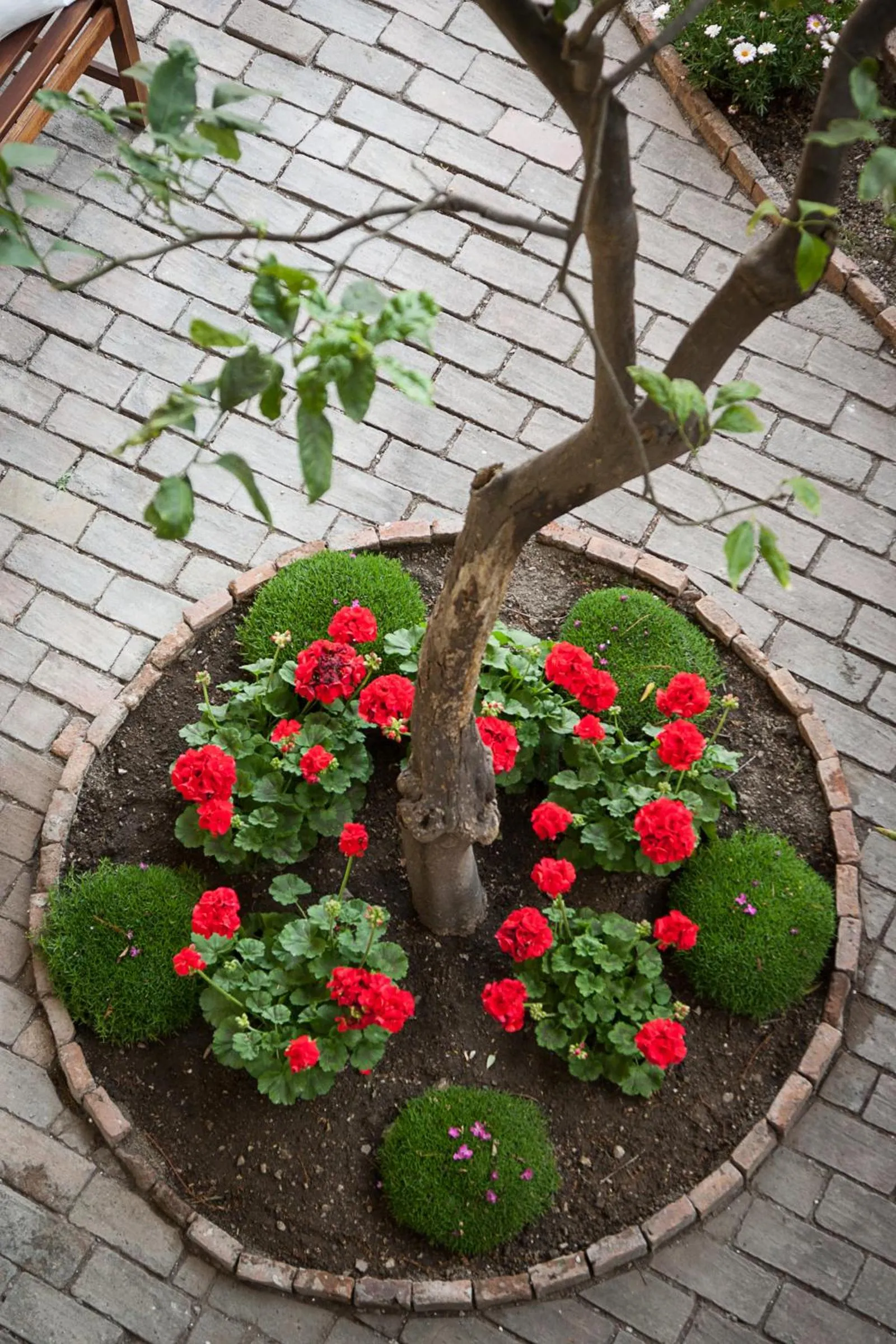 Other in Villa Giannina B&B