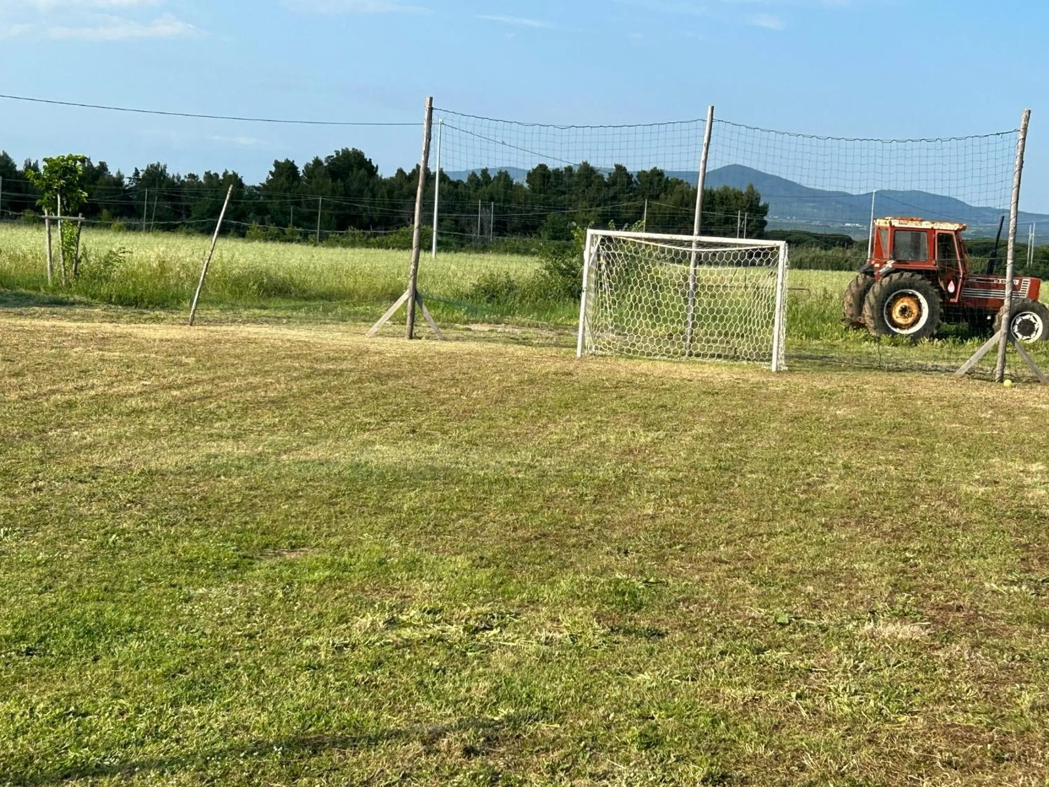 Day in Fattoria Palazzeta - Pet & Family Friendly