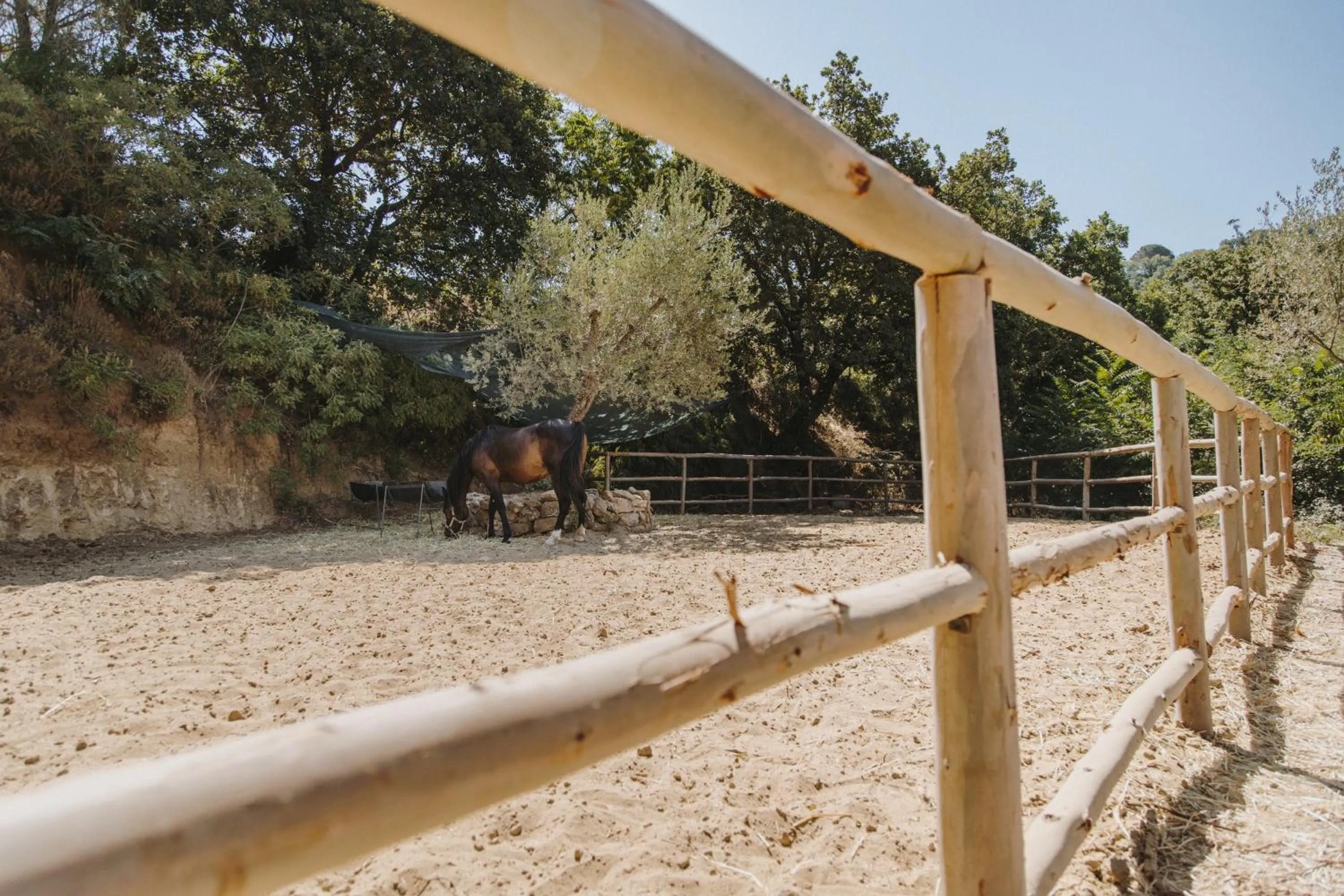 Animals in Leano Agriresort