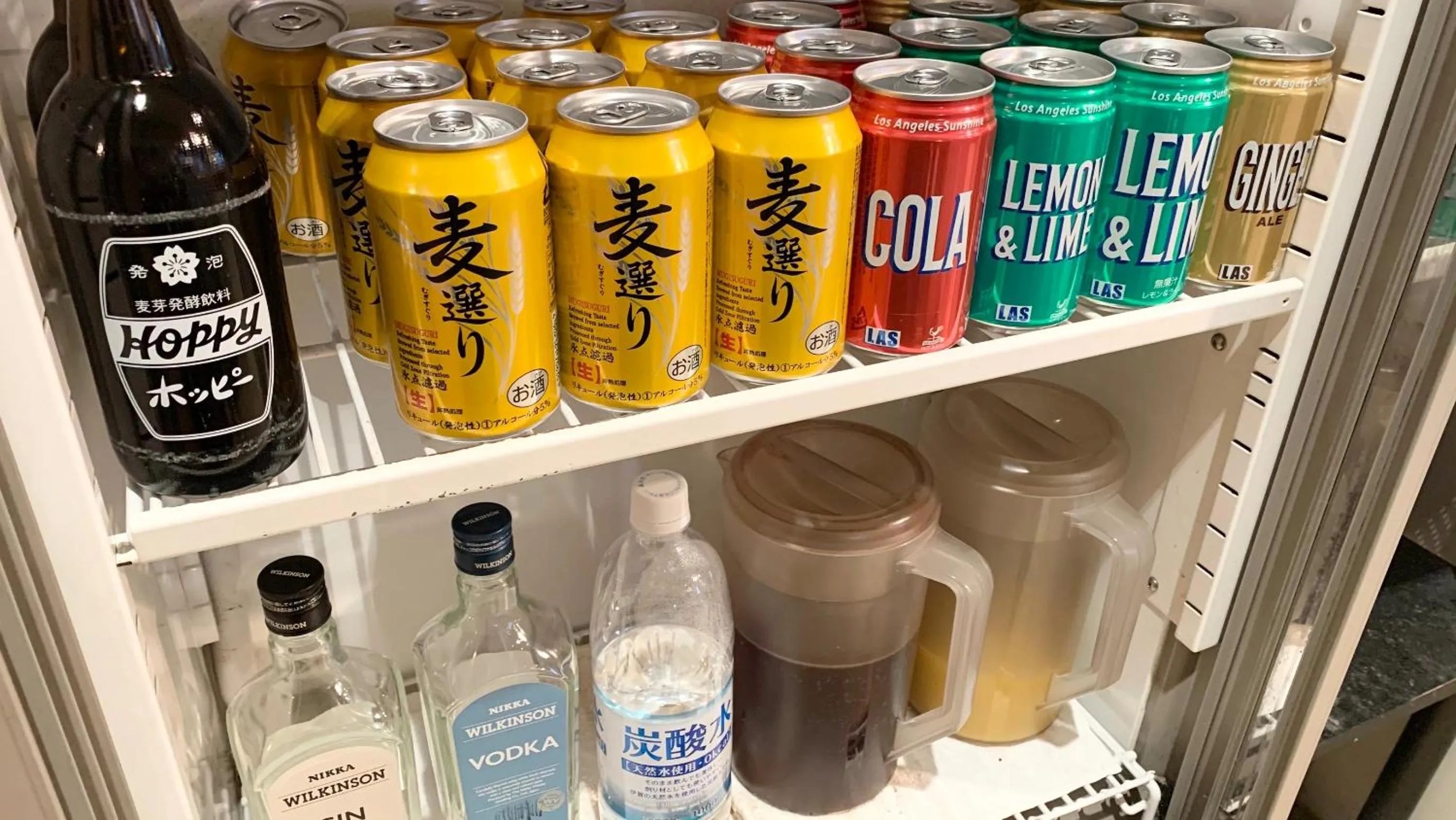 Lounge or bar in Hotel Dorf Shizuoka