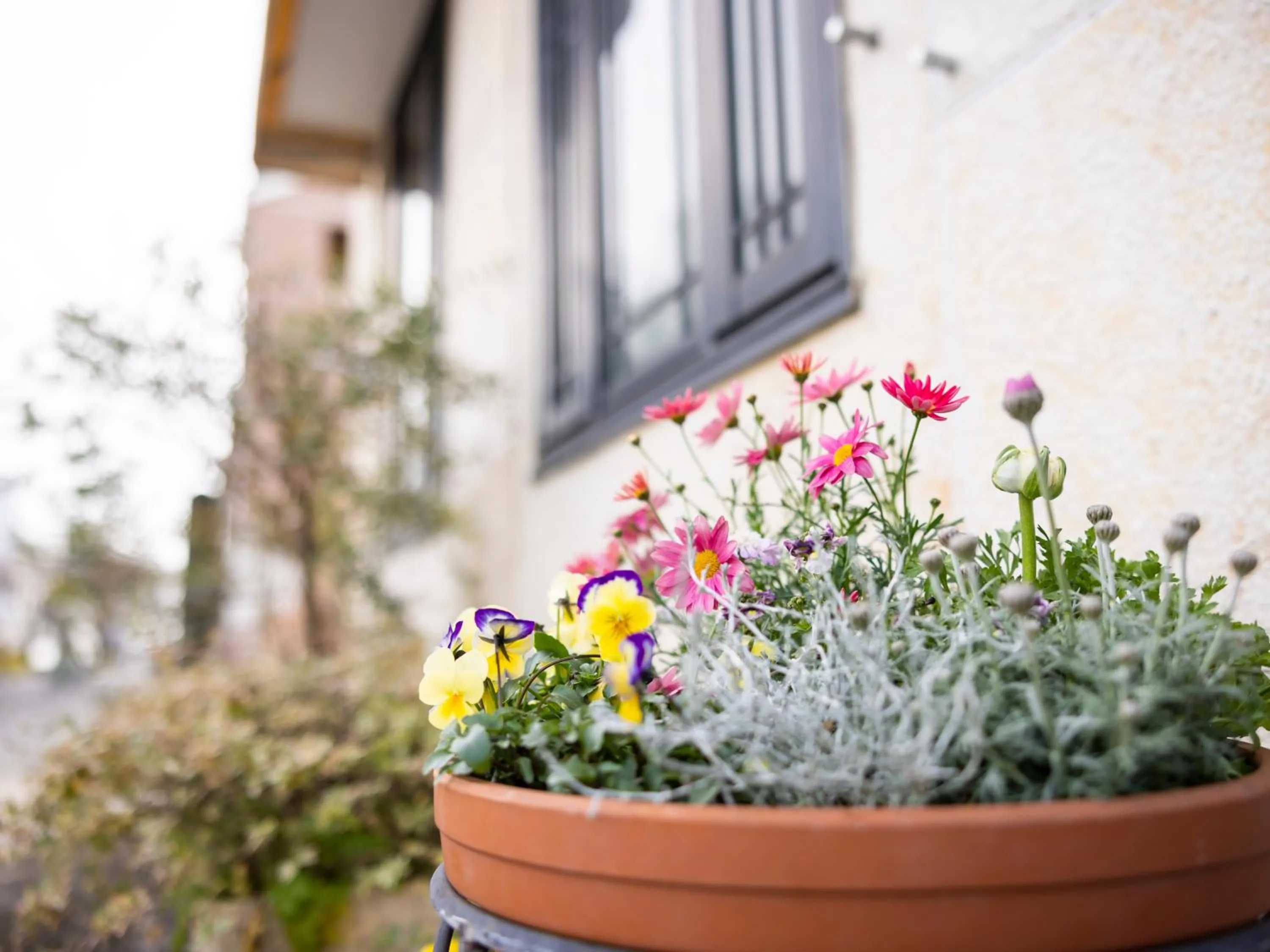 Property building in Hotel Dorf Shizuoka