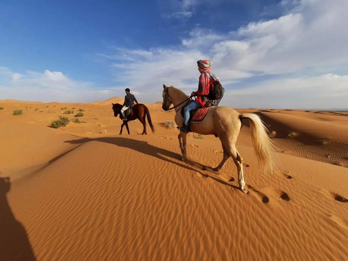 Horse-riding in Riad Caravasar