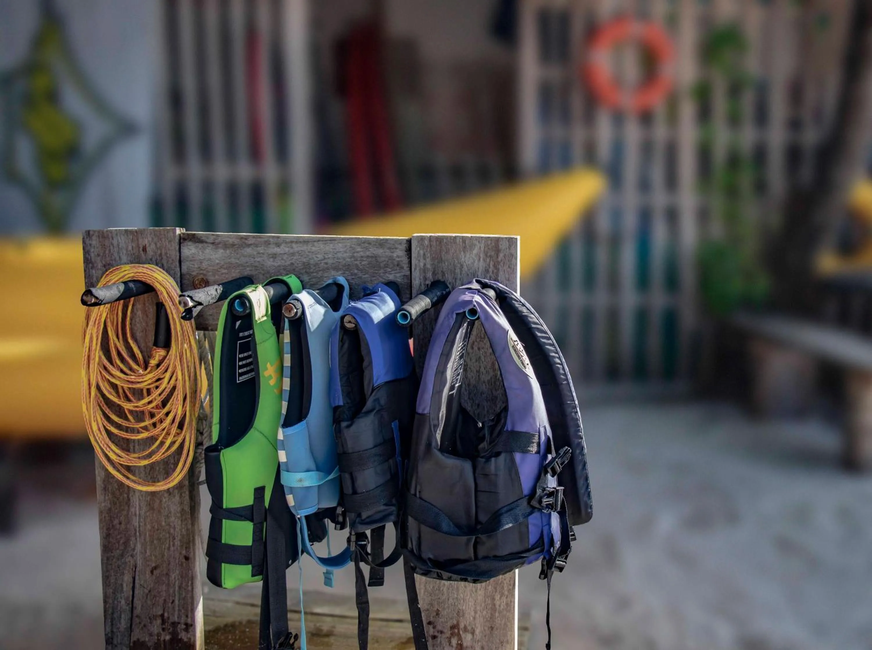 Snorkeling in Rosy Villa Hotel