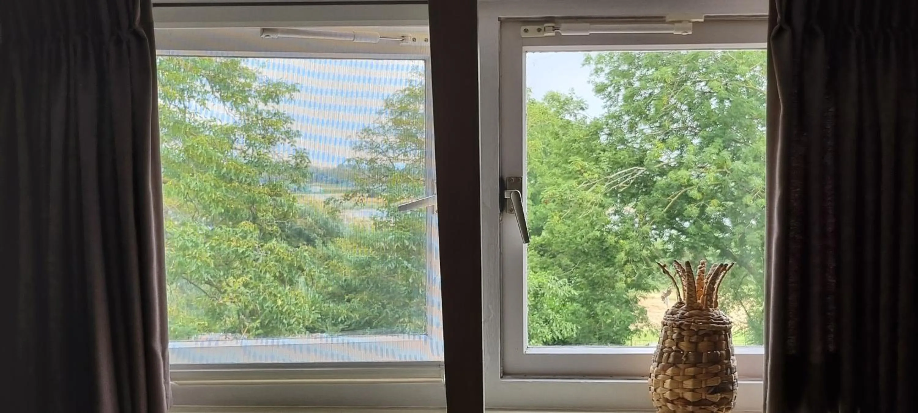 River view in B&B MaasLandje