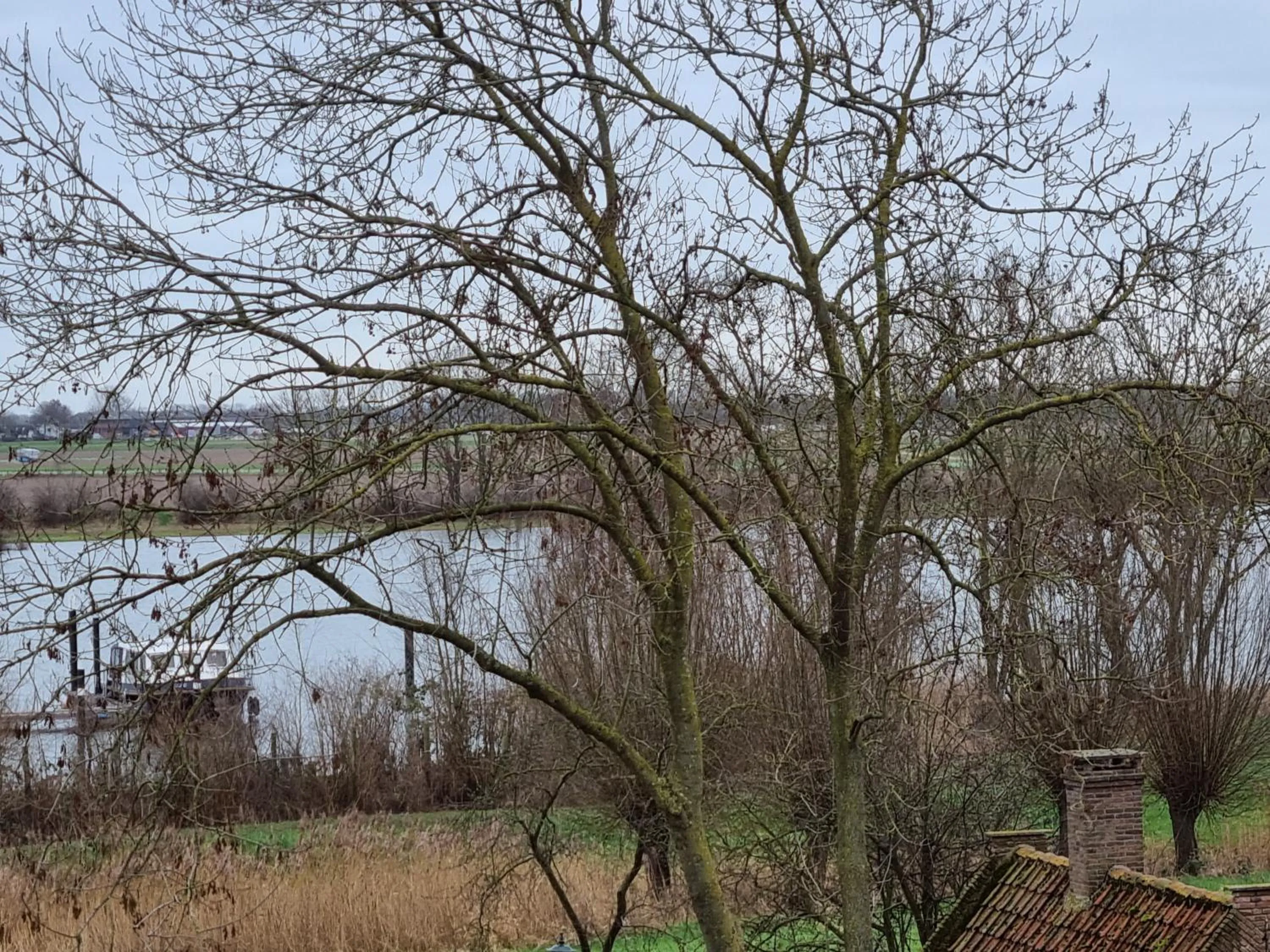 River view in B&B MaasLandje
