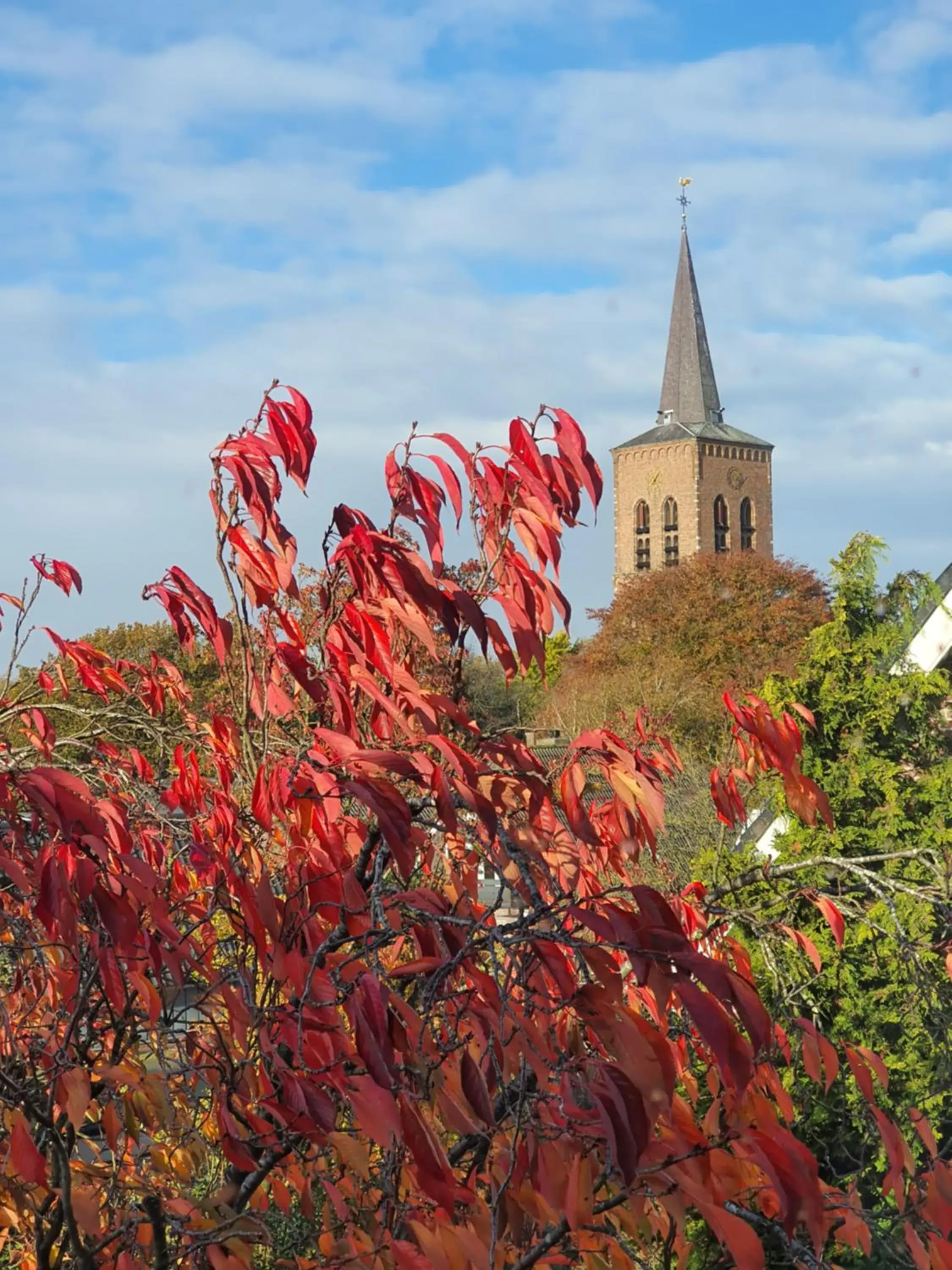 Deluxe Room in B&B MaasLandje Deluxe Room in B&B MaasLandje