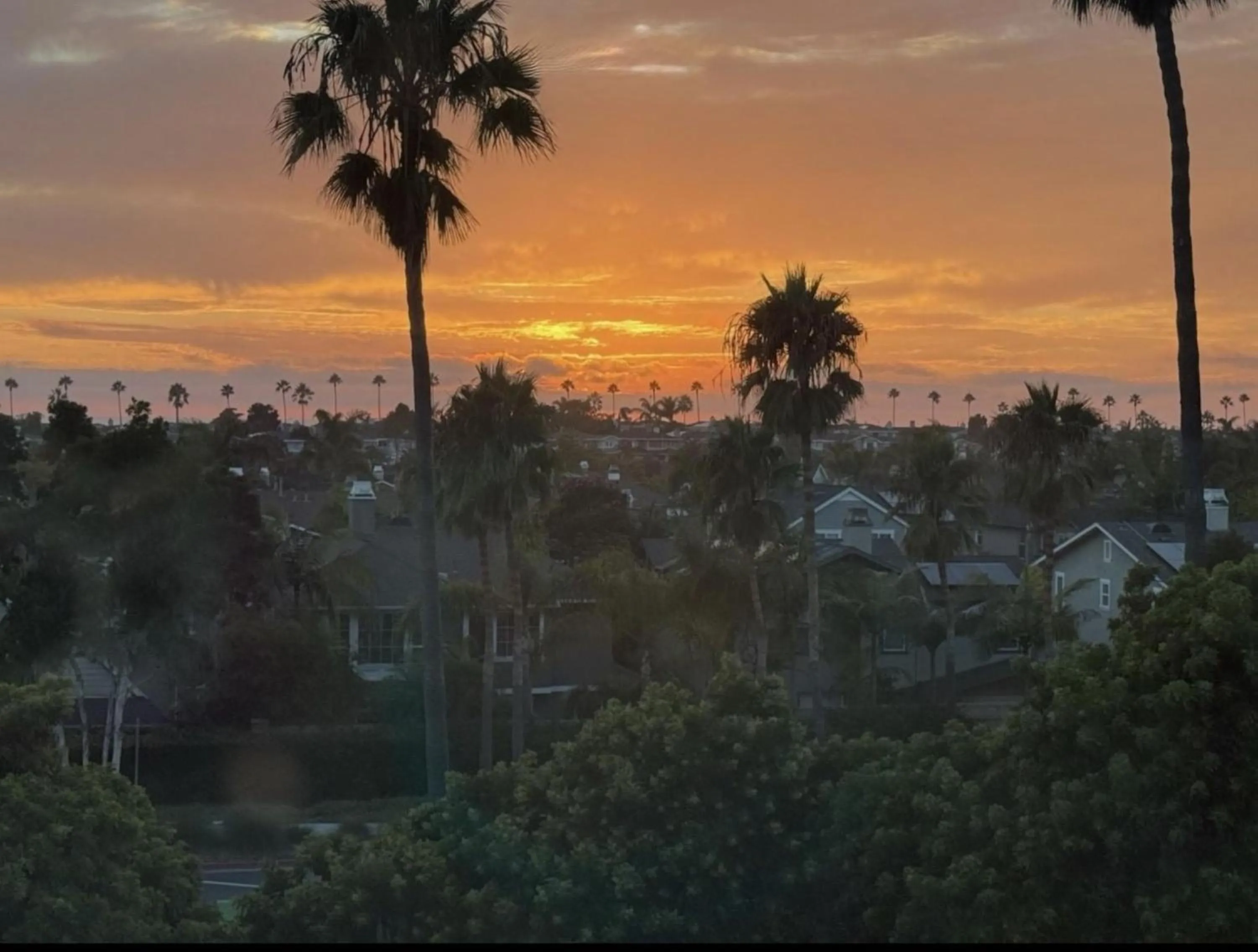 Photo of the whole room in Holiday Inn Express Hotel & Suites Carlsbad Beach by IHG