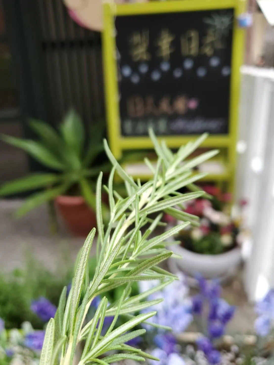 Breakfast in 梨幸日和 Good Days in Liko