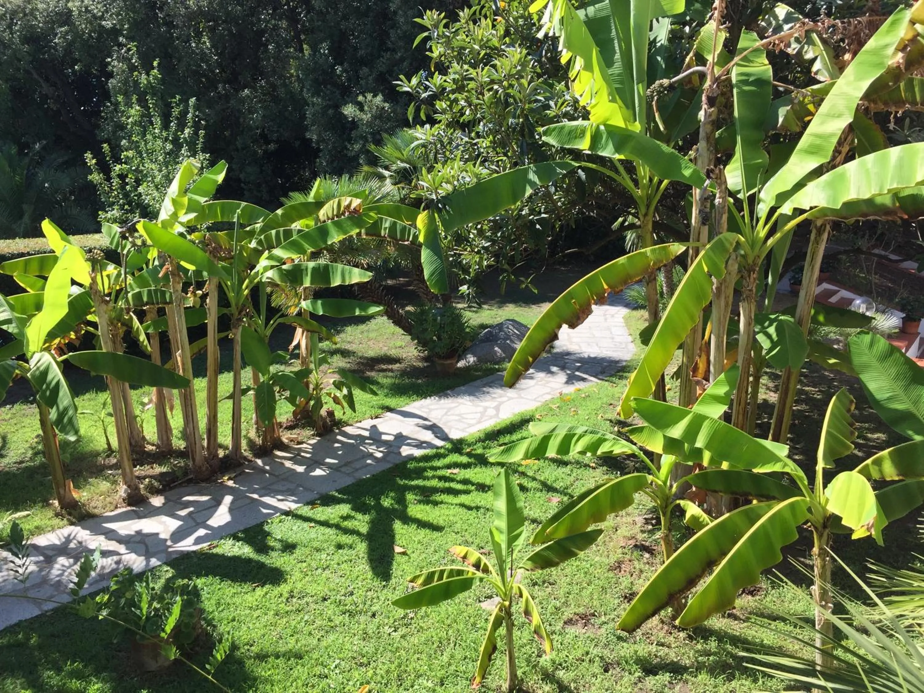 Spring in Eden Park Hotel