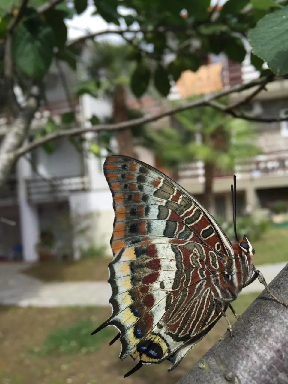 Spring in Eden Park Hotel