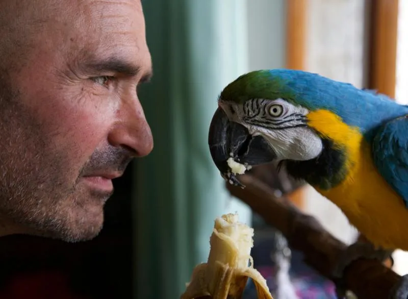 Spring in Eden Park Hotel