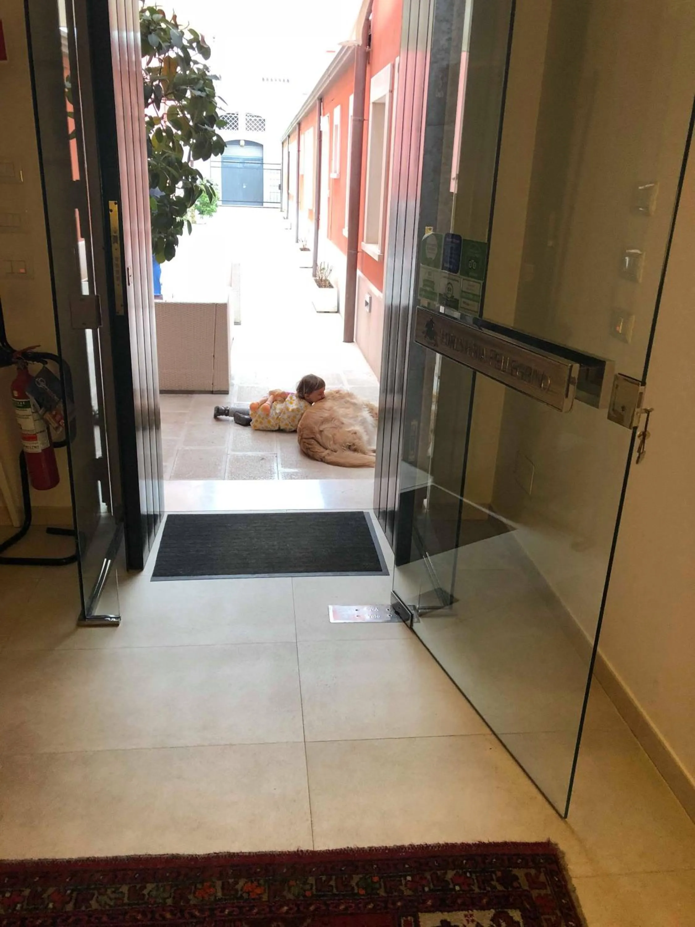 Pets in Foresteria Pellegrino