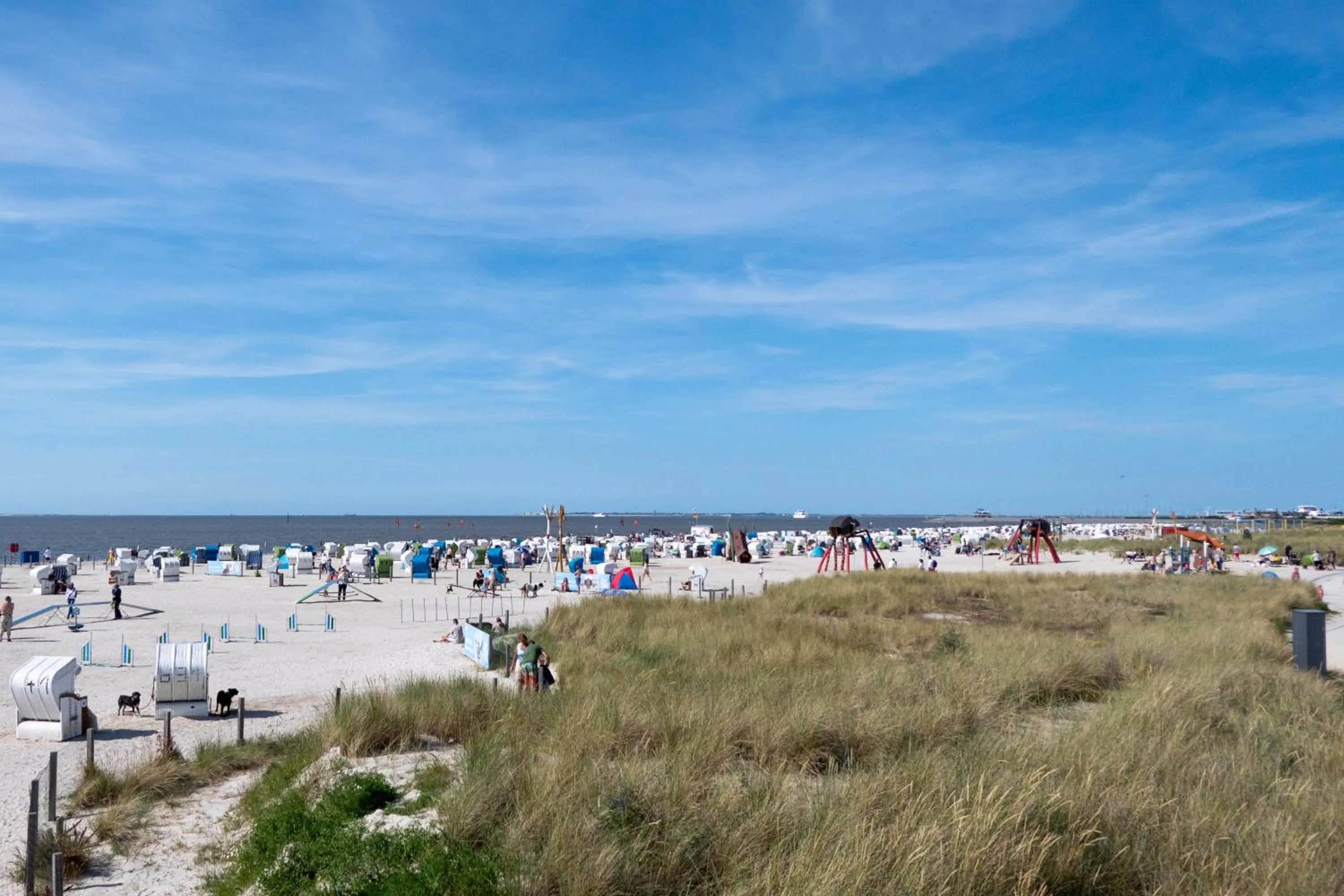 Beach in Hotel Regina Maris