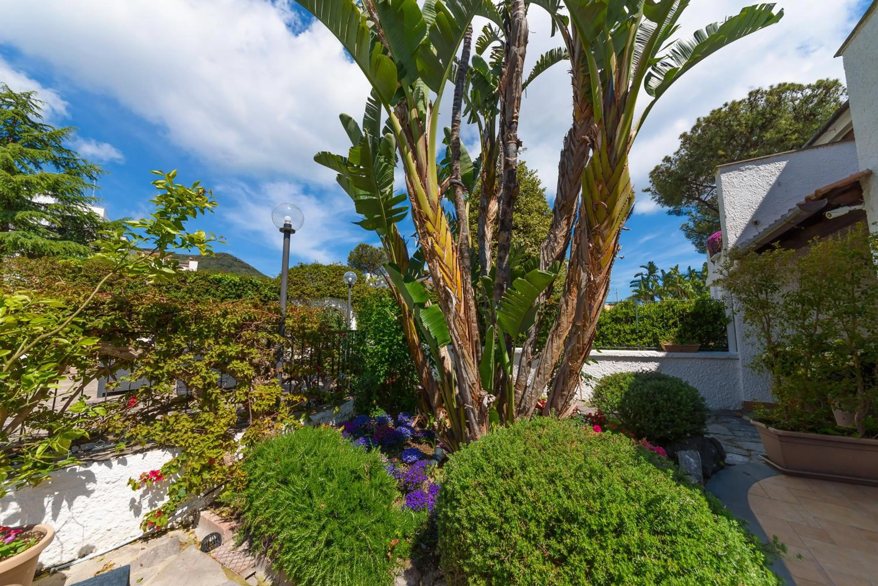 Spring in Villa Fortuna Holiday Resort