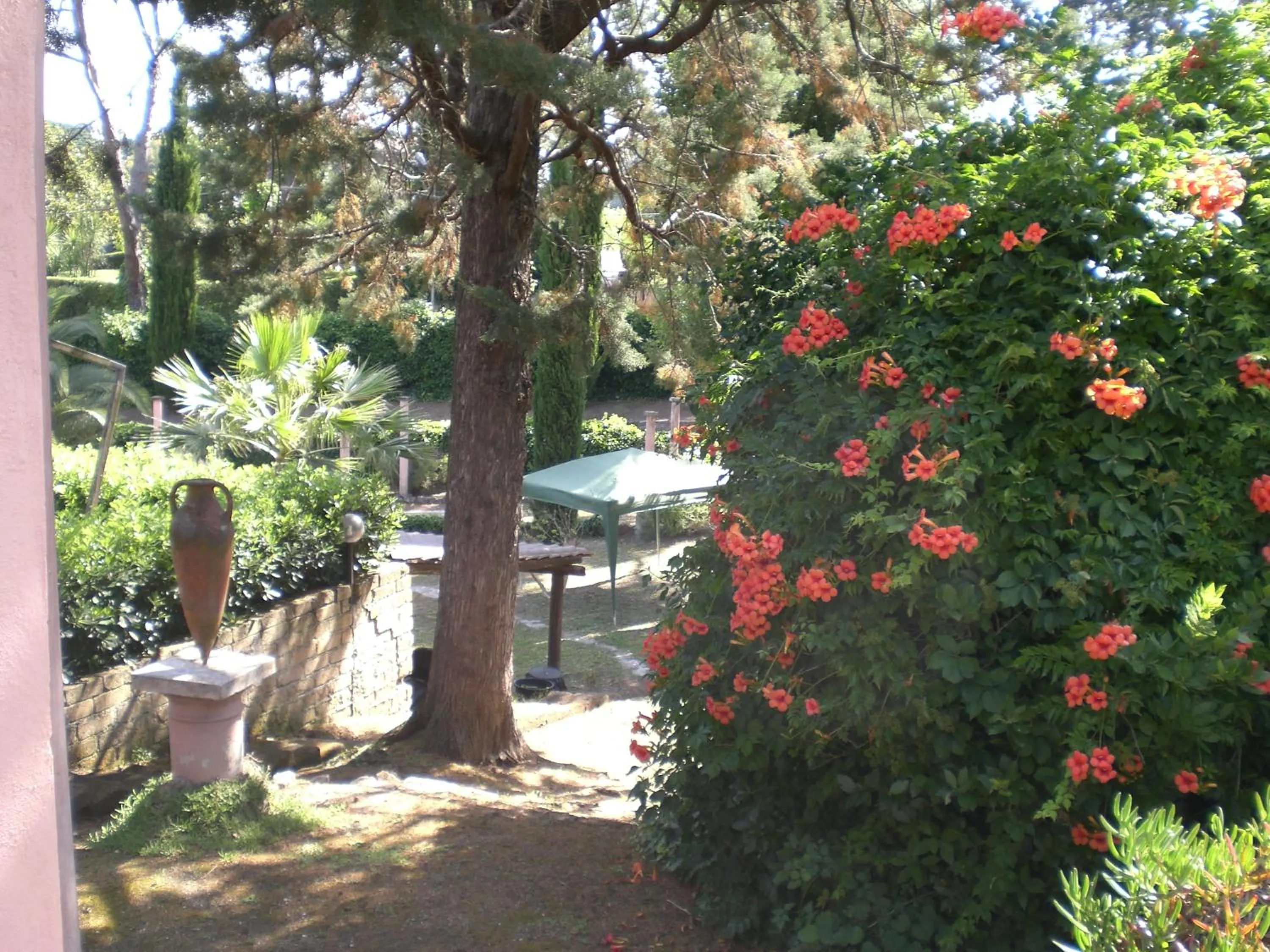 Garden in Villa di Christian e Michelle