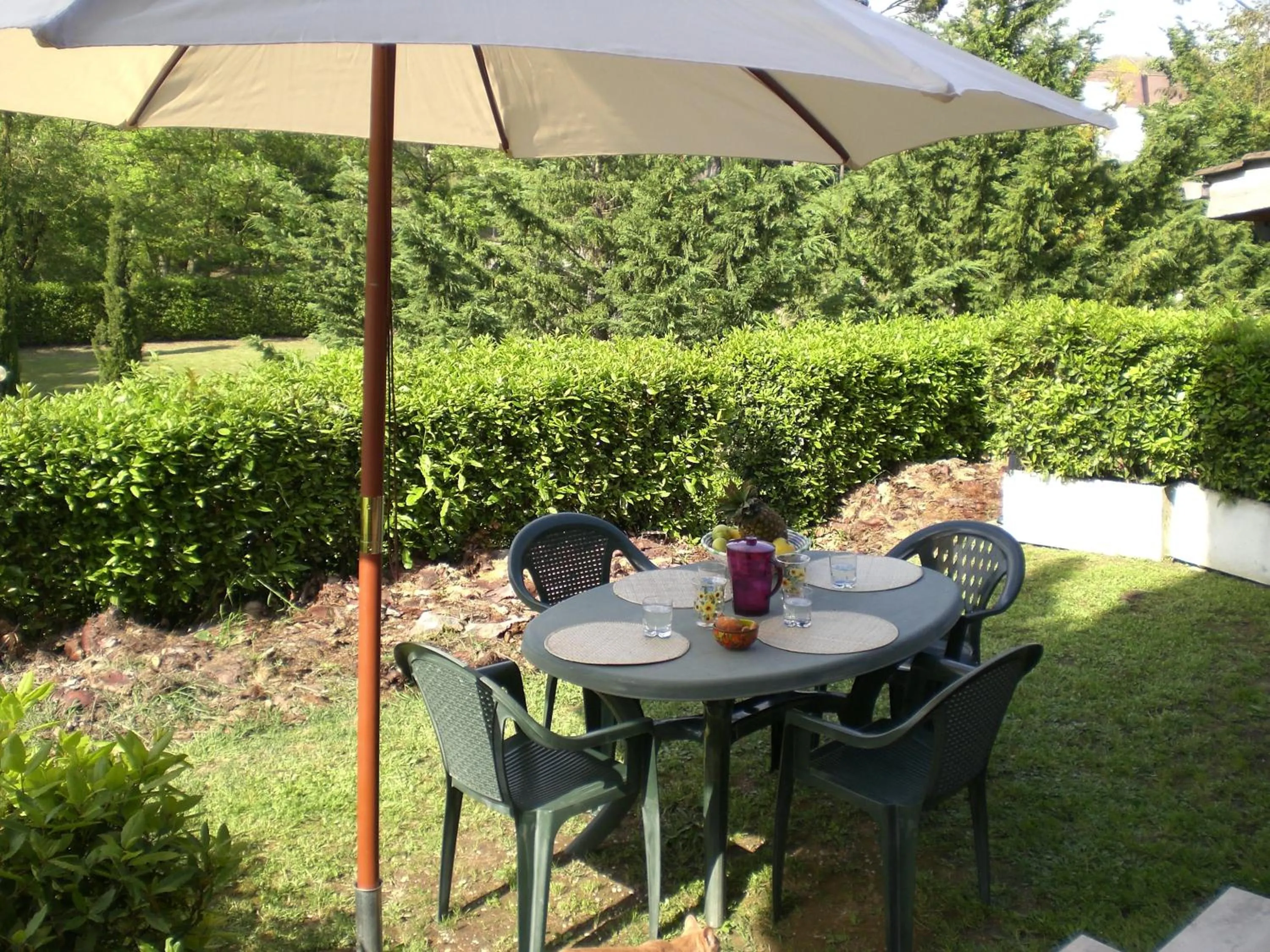 Garden in Villa di Christian e Michelle