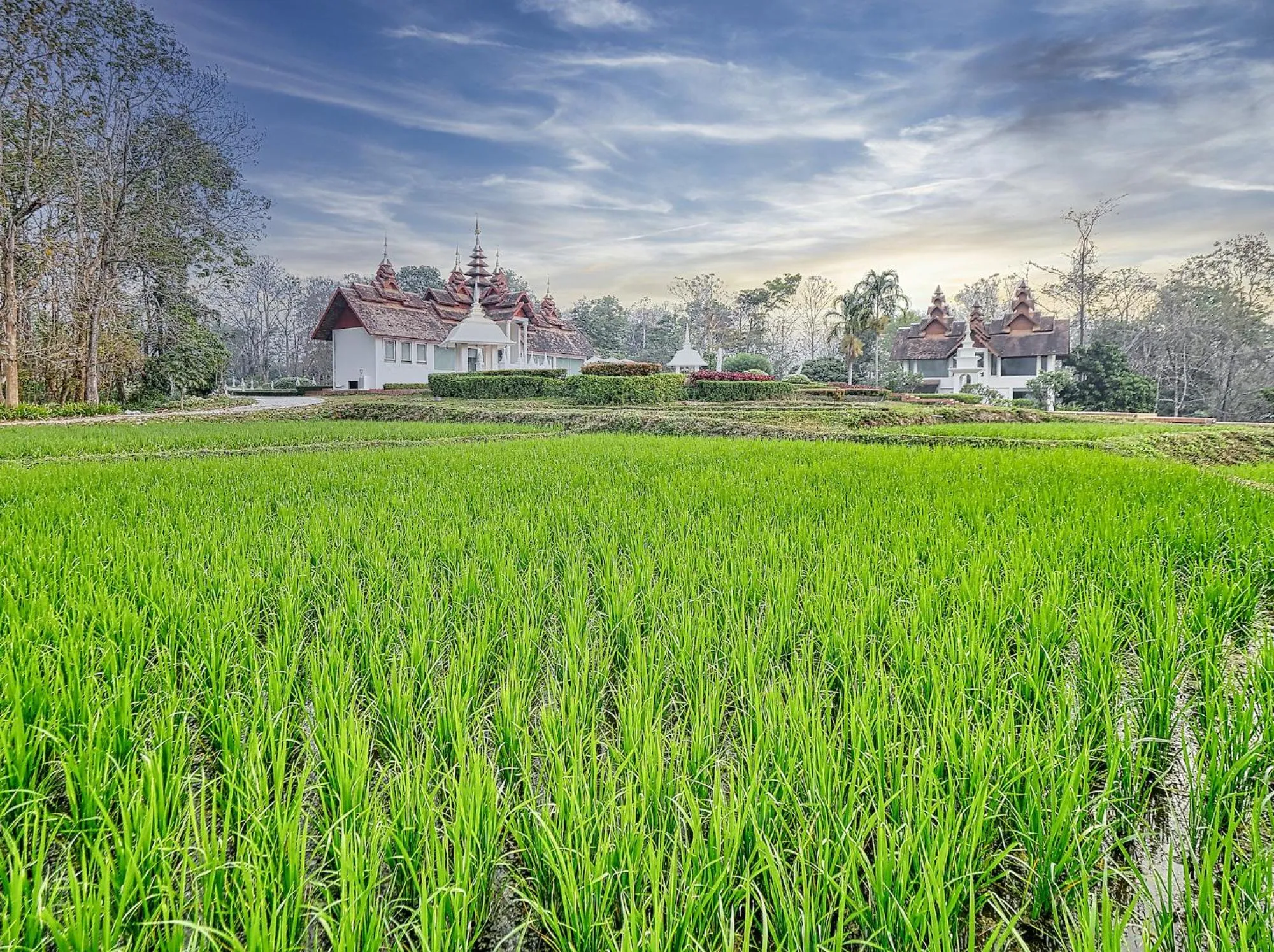 Natural landscape in MonPanaNont Wellness