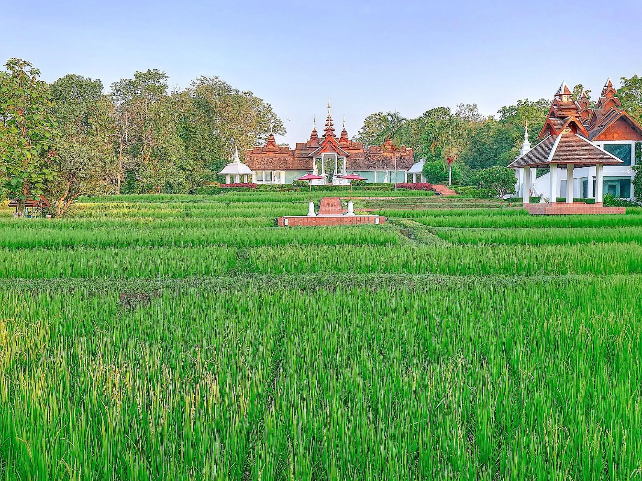 Garden in MonPanaNont Wellness