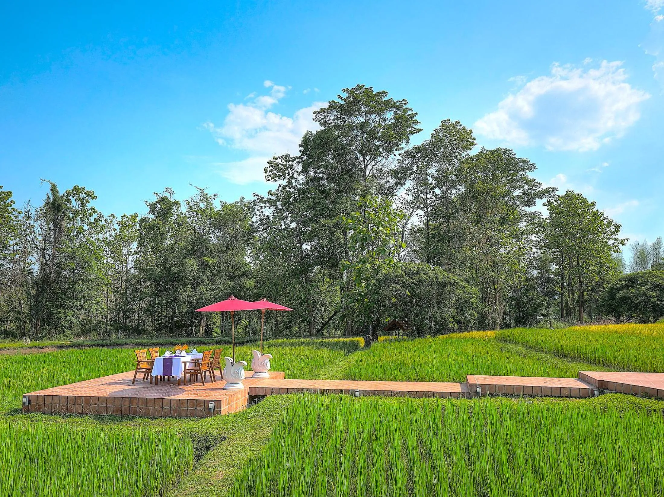 Natural landscape in MonPanaNont Wellness