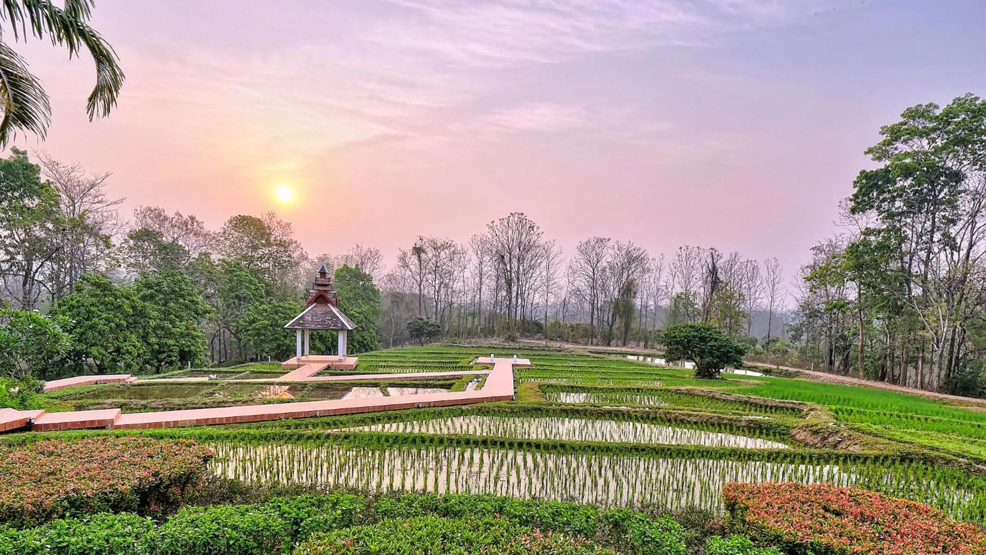 Natural landscape in MonPanaNont Wellness