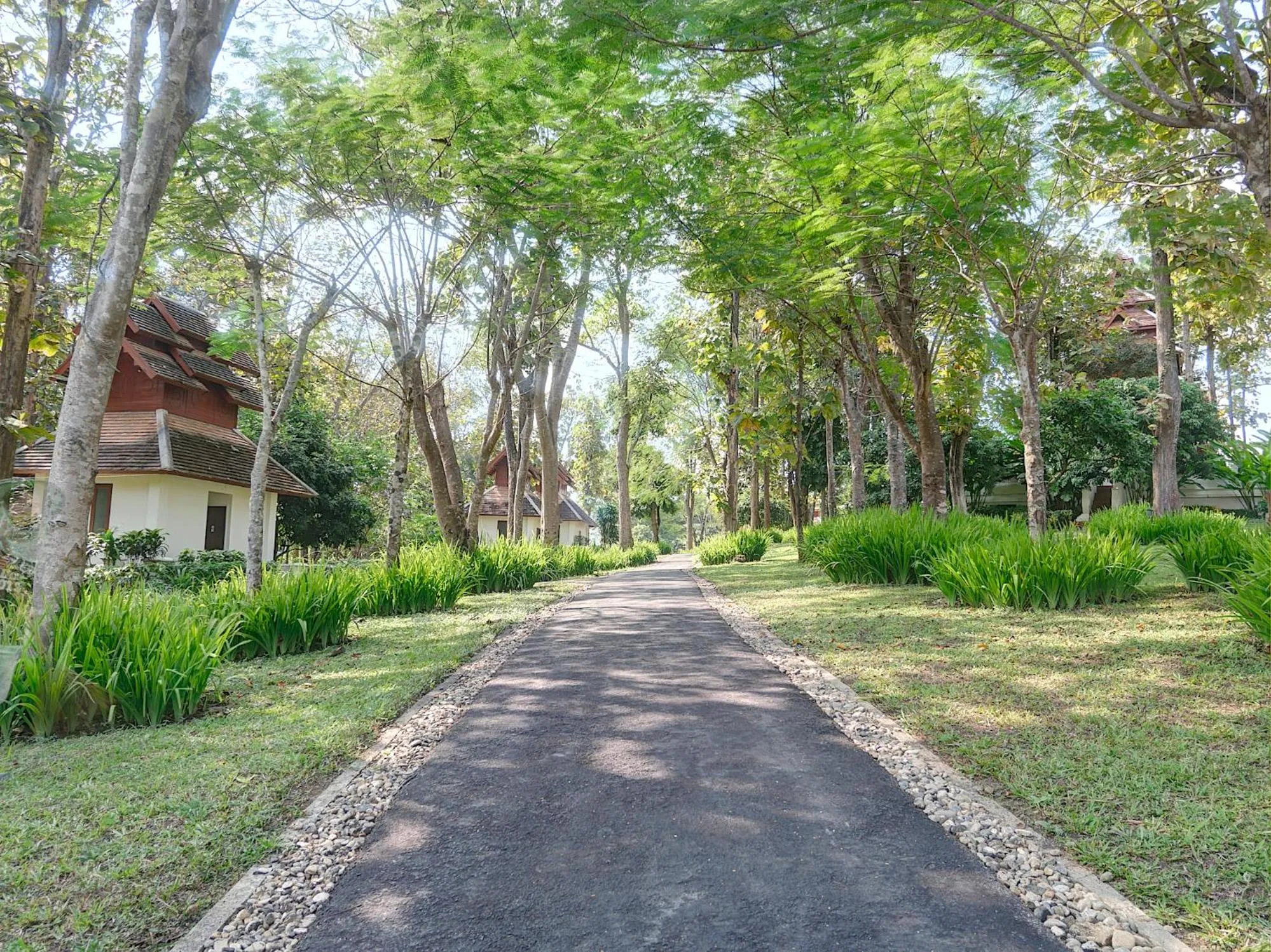 Garden in MonPanaNont Wellness