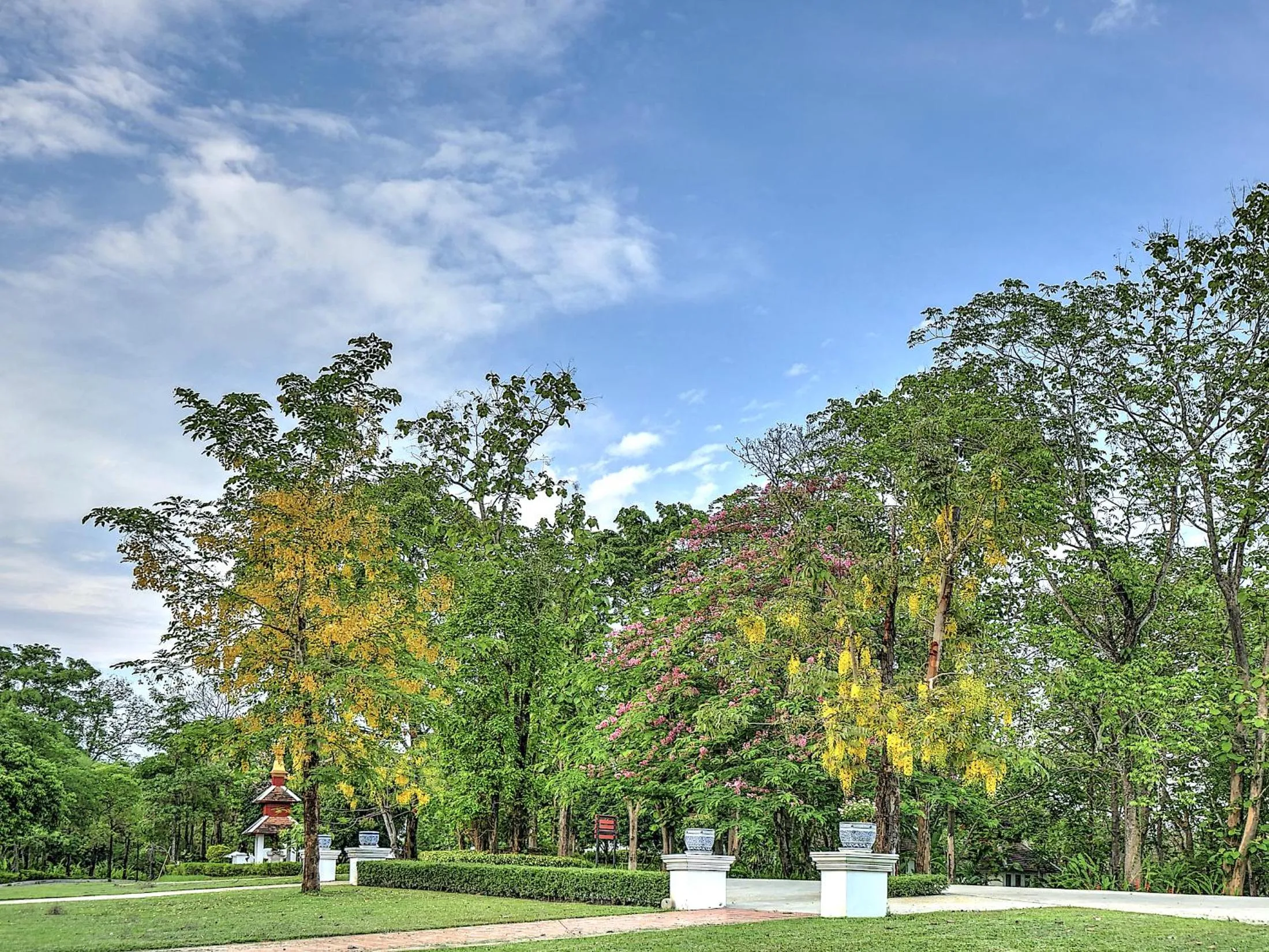 Natural landscape in MonPanaNont Wellness