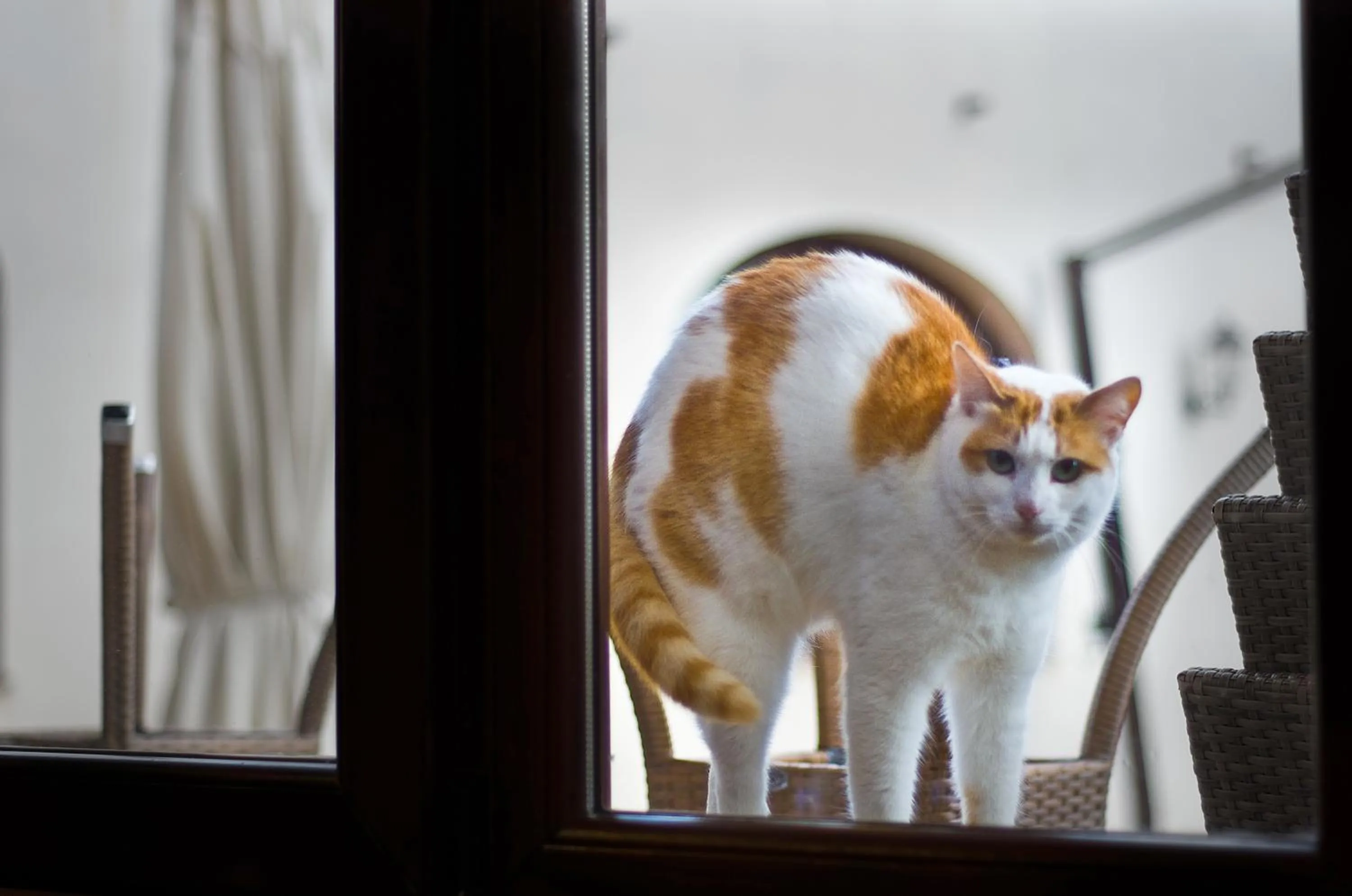 Il Casale Della Stella