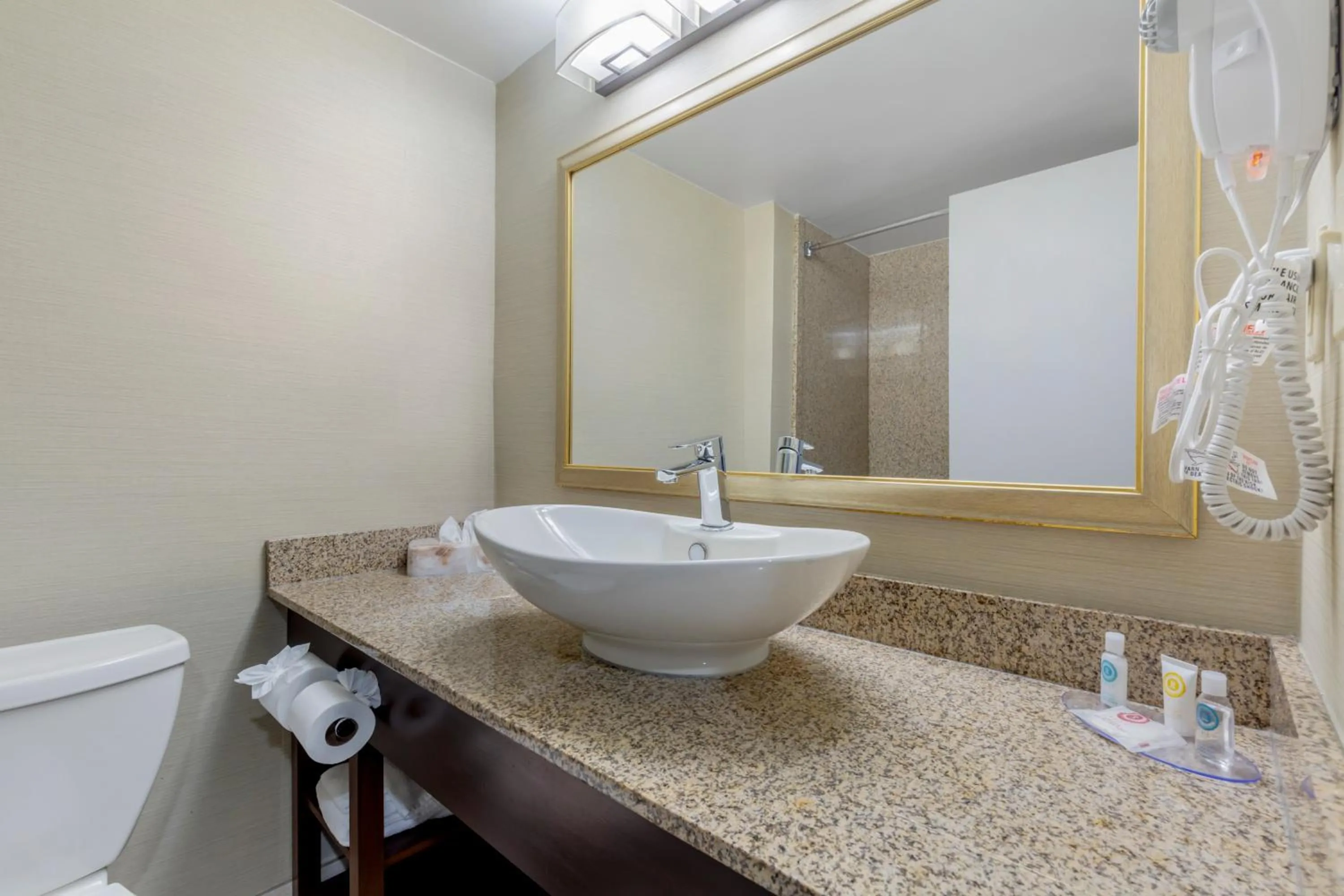 Comfort Inn Herndon-Reston