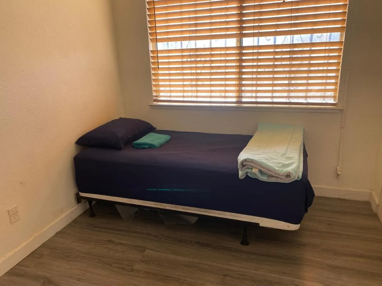 Bed in WHOLE Family - Wolfgram