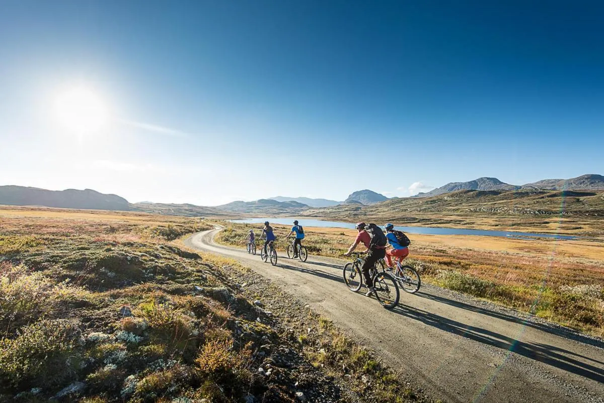 Activities in Torpomoen