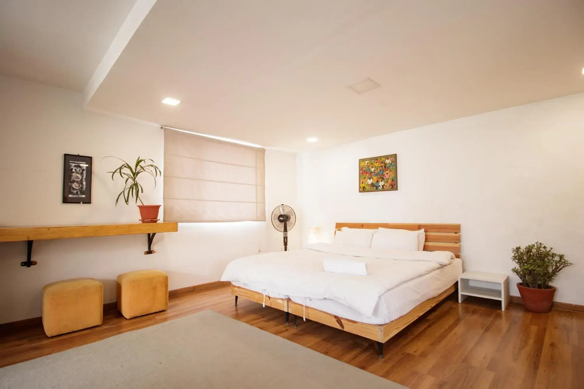 Double Room with Terrace in Nextdoor Patan Double Room with Terrace in Nextdoor Patan