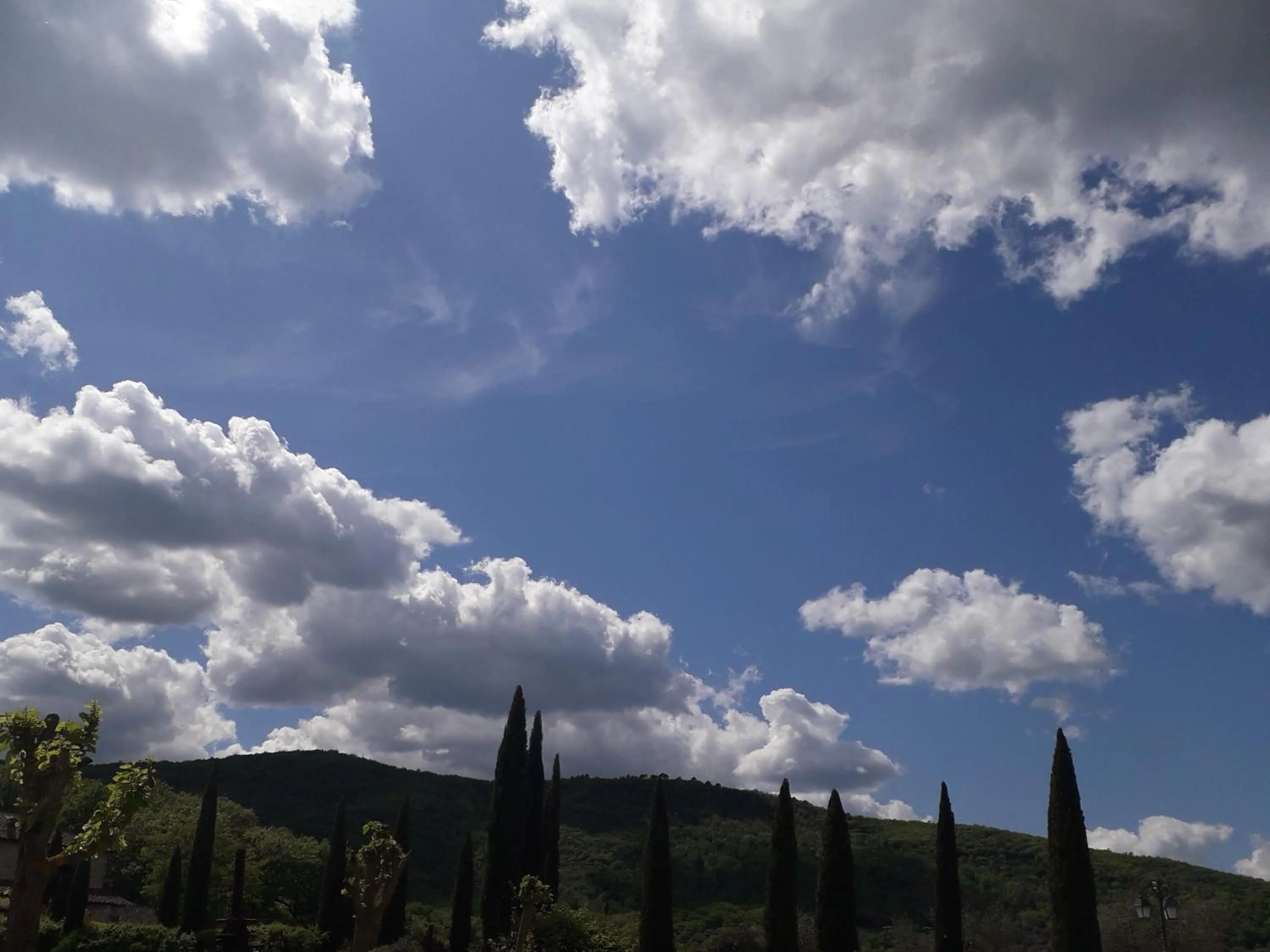 Natural landscape in Poggio Cennina Resort